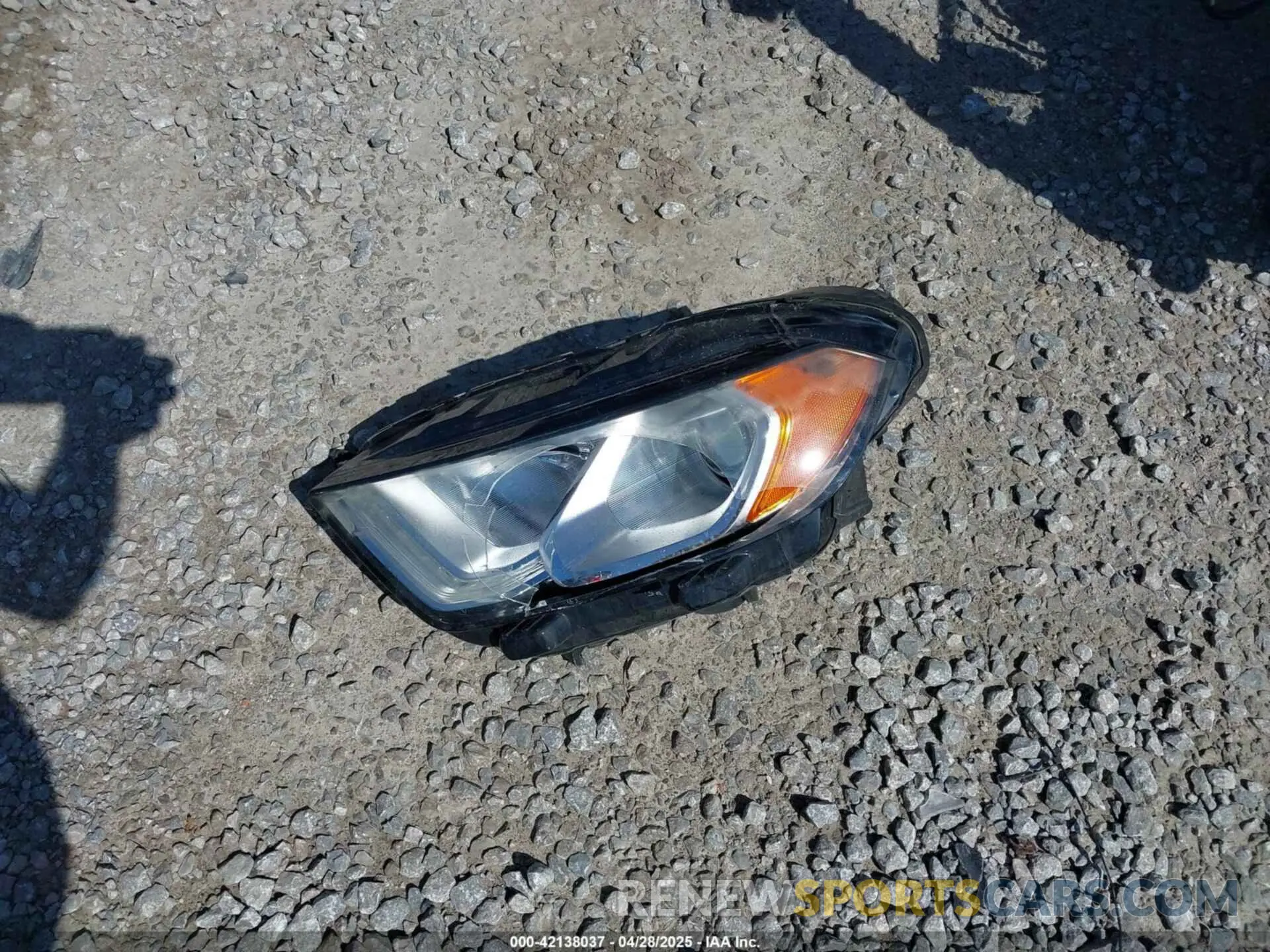 12 Photograph of a damaged car MAJ6S3KL5KC292460 FORD ECOSPORT 2019