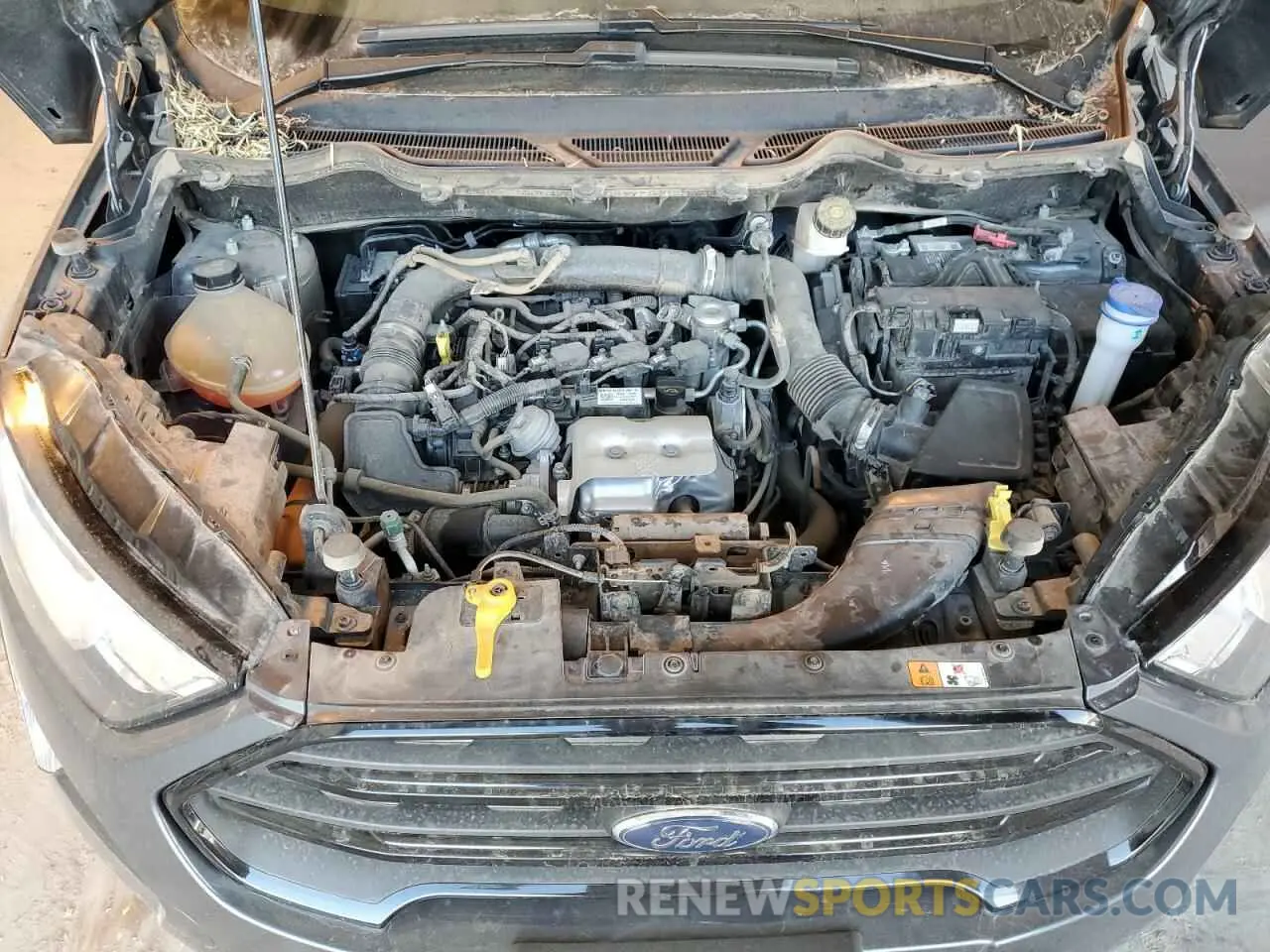 12 Фотография поврежденного автомобиля MAJ3S2FE0MC438226 FORD ECOSPORT 2021