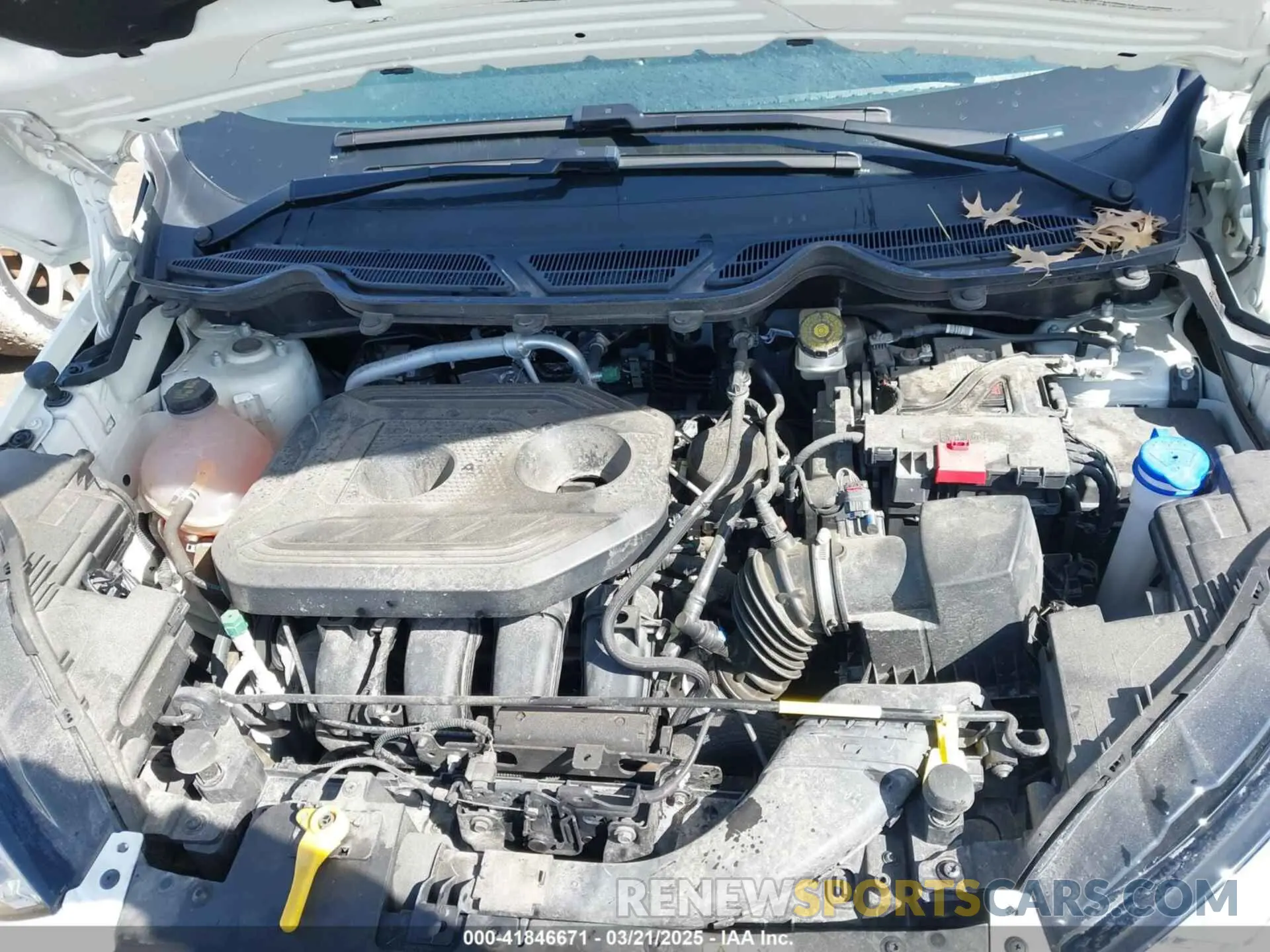 10 Photograph of a damaged car MAJ6S3GL2MC455206 FORD ECOSPORT 2021
