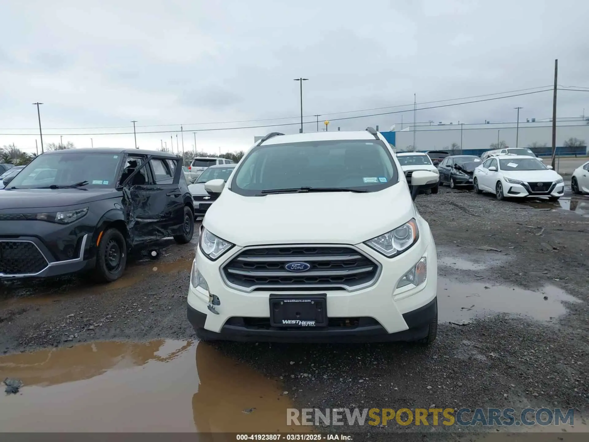 12 Photograph of a damaged car MAJ6S3GLXMC410109 FORD ECOSPORT 2021