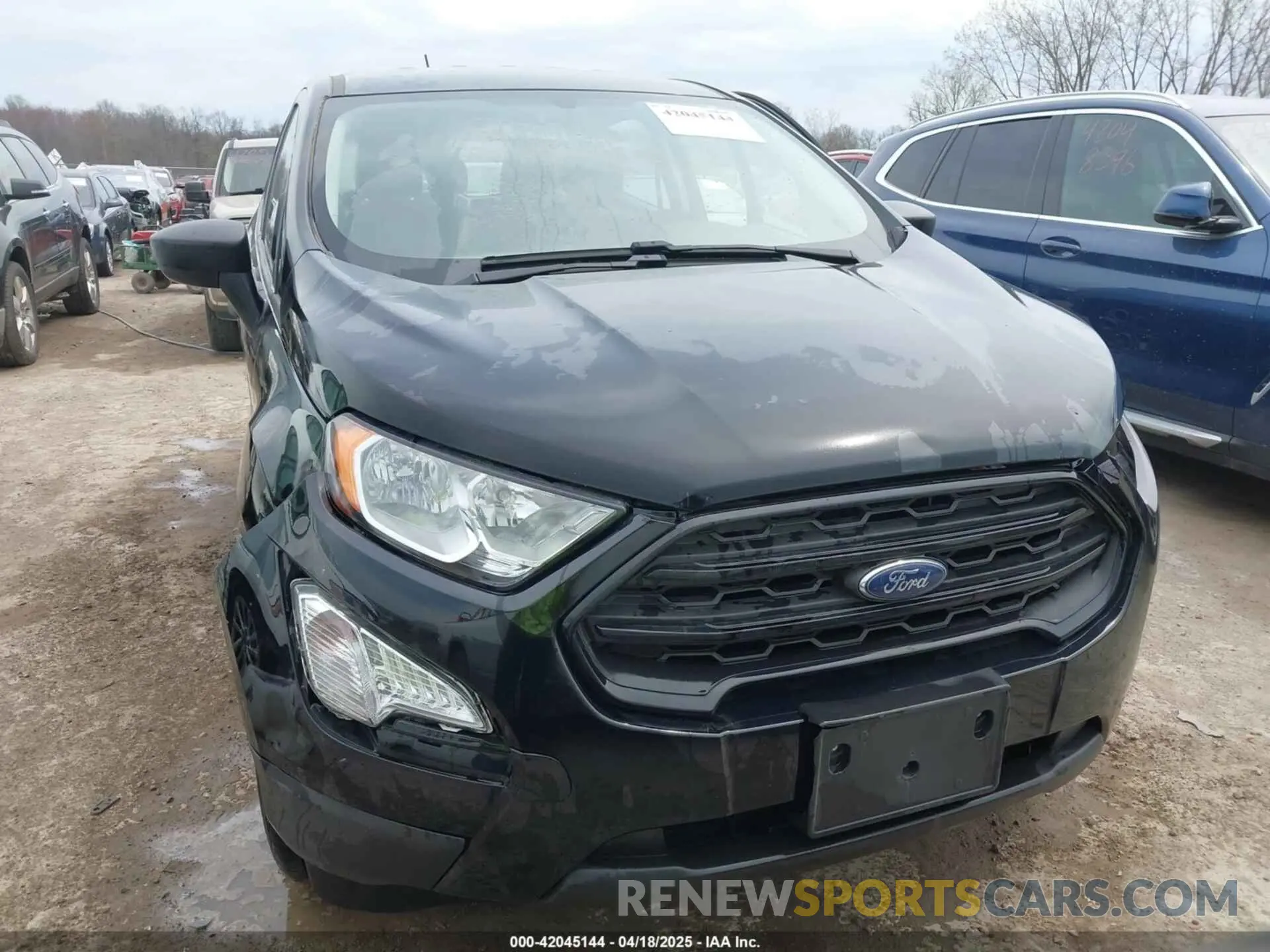 12 Фотография поврежденного автомобиля MAJ6S3FL0NC461251 FORD ECOSPORT 2022