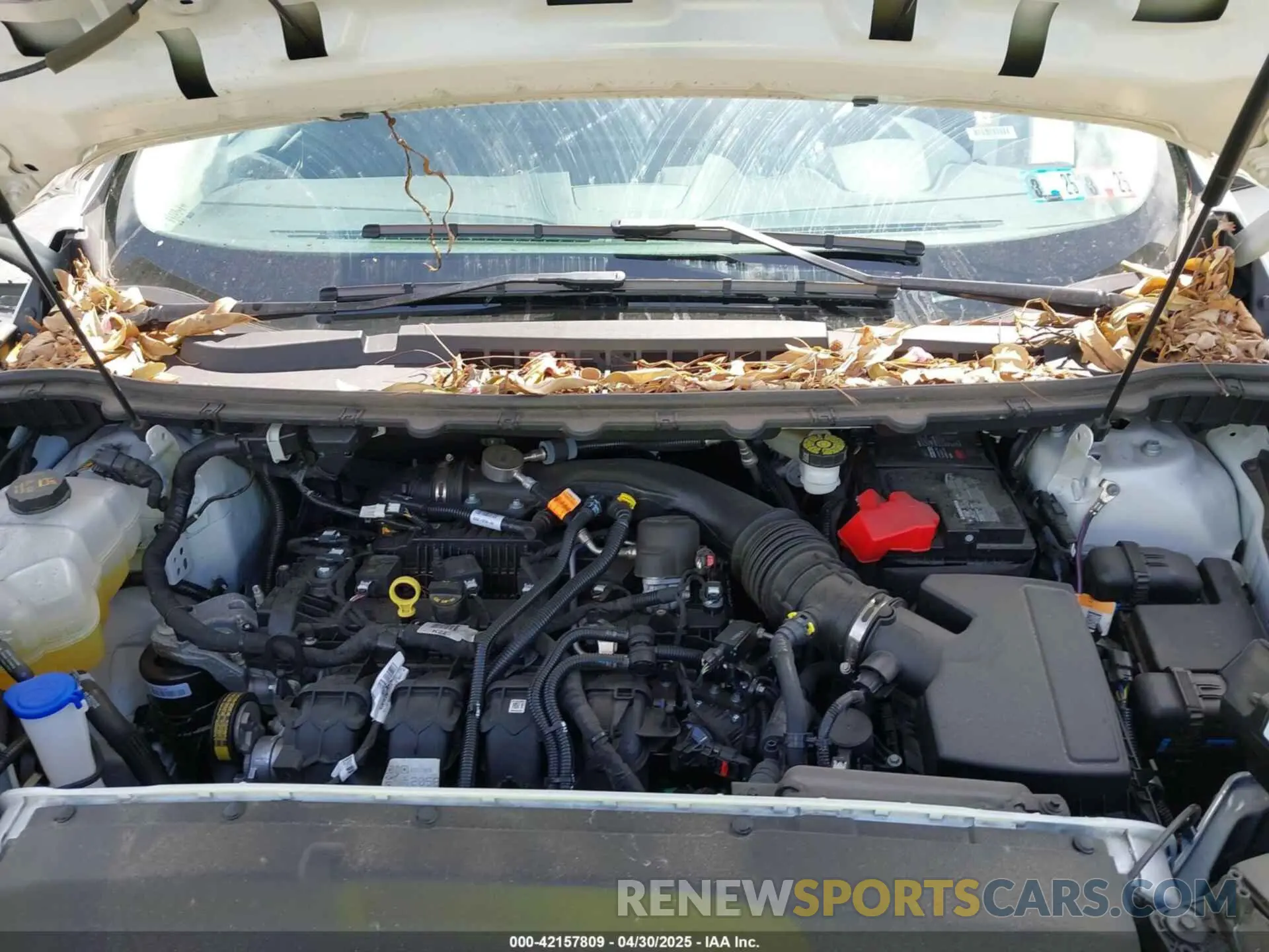 10 Фотография поврежденного автомобиля 2FMPK4J96RBA77816 FORD EDGE 2024