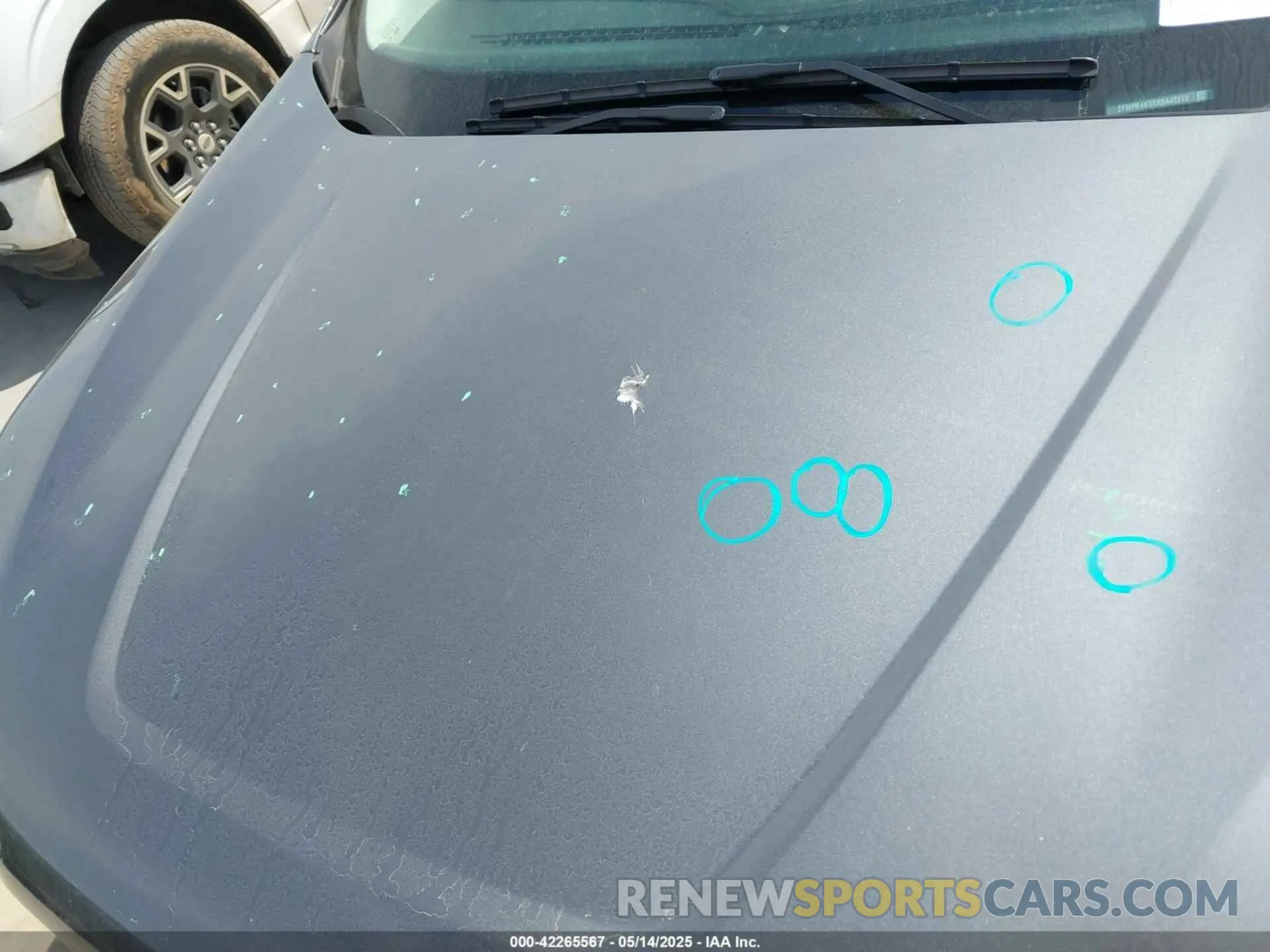 6 Photograph of a damaged car 2FMPK4K9XRBA47278 FORD EDGE 2024