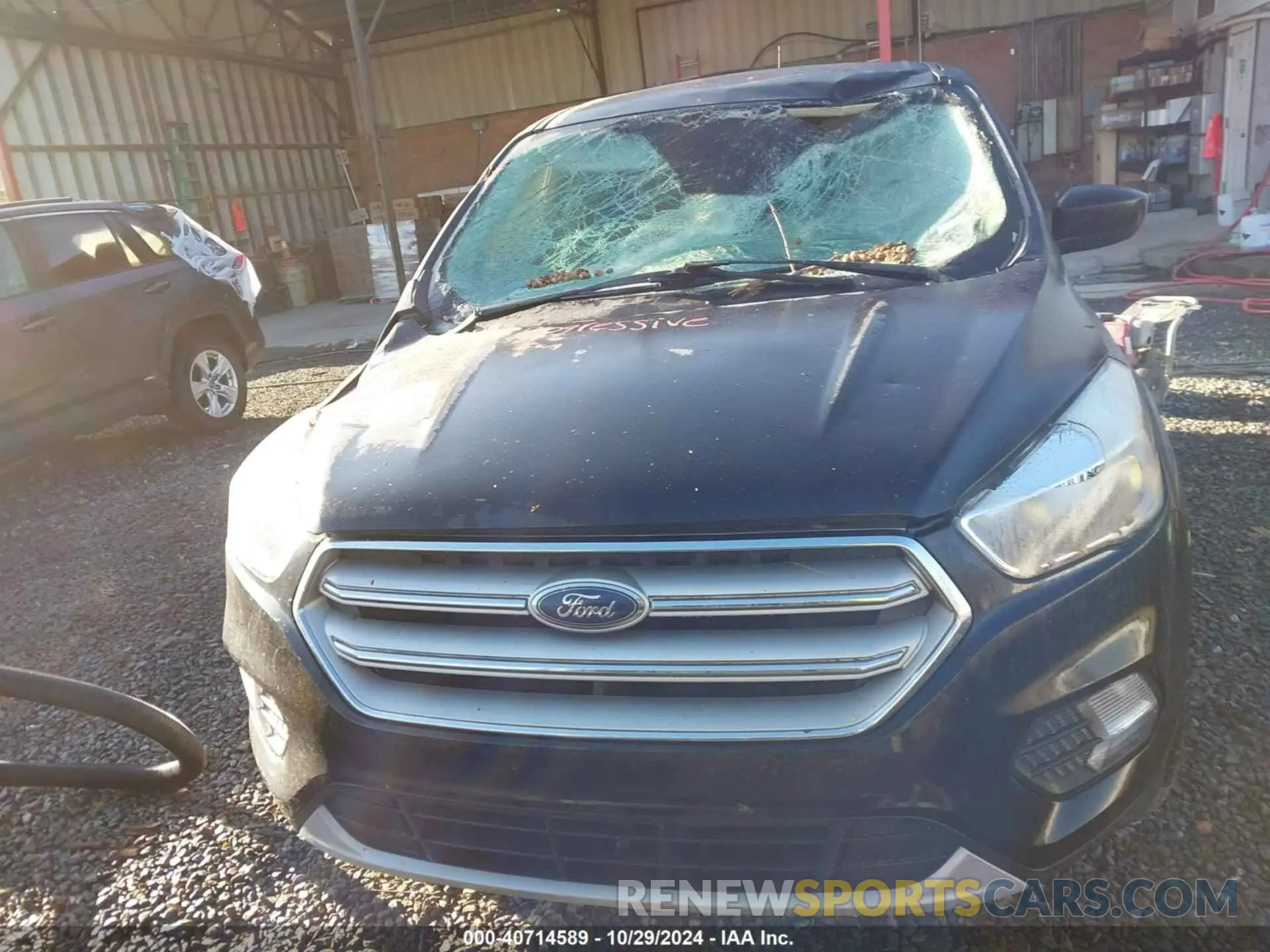 12 Photograph of a damaged car 1FMCU0GD1KUA07539 FORD ESCAPE 2019