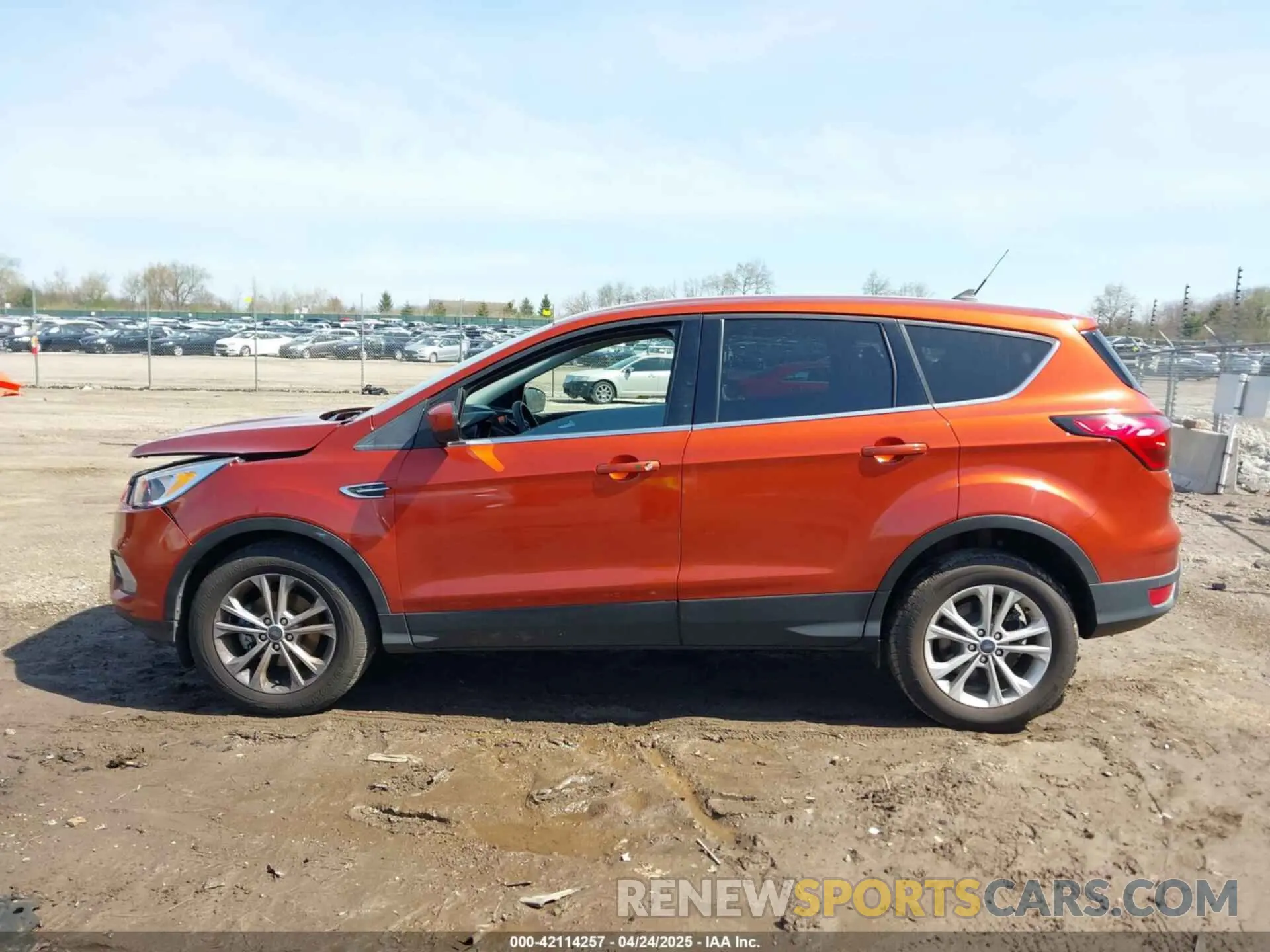 14 Photograph of a damaged car 1FMCU0GD2KUC35470 FORD ESCAPE 2019
