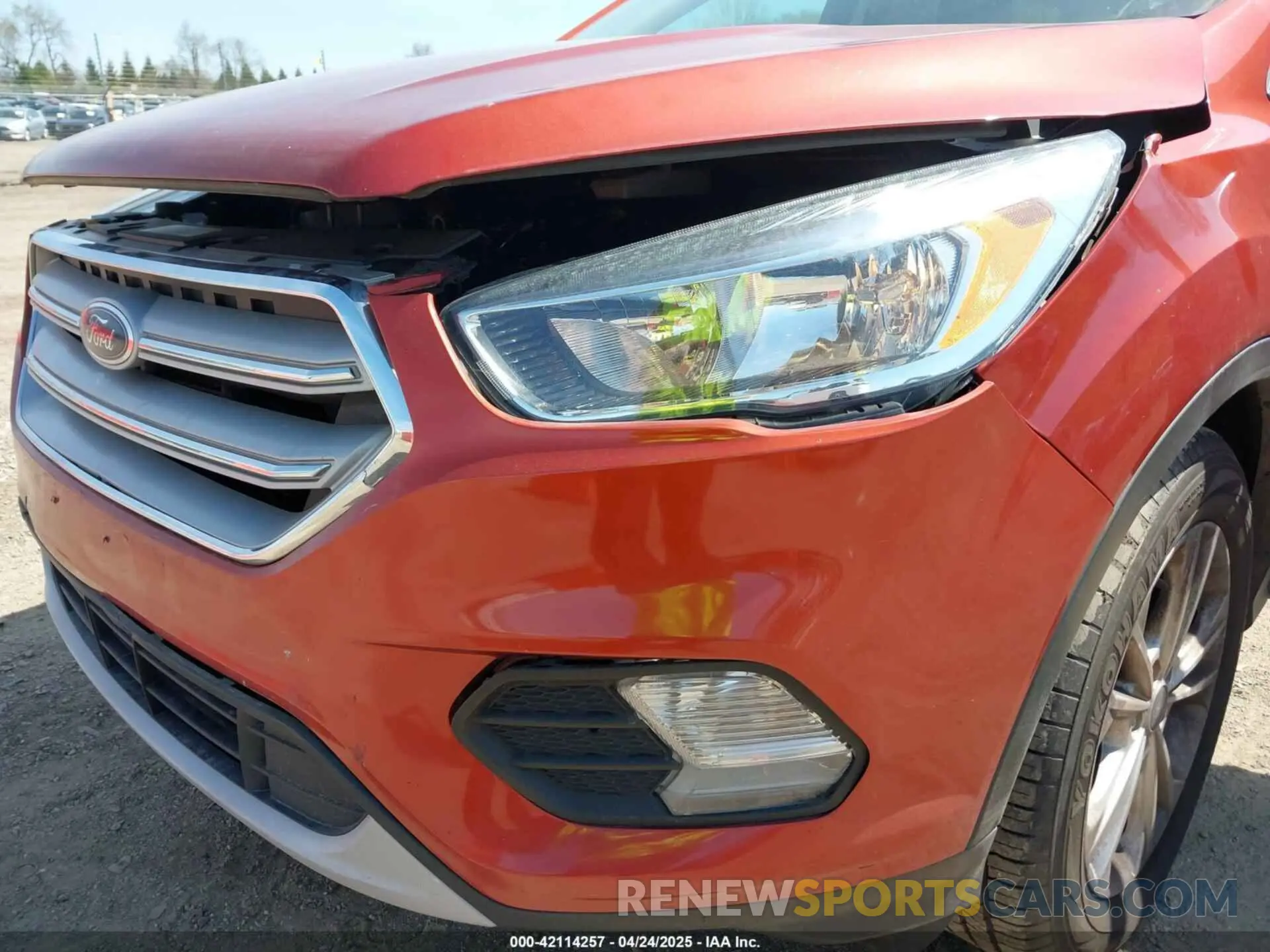 6 Photograph of a damaged car 1FMCU0GD2KUC35470 FORD ESCAPE 2019
