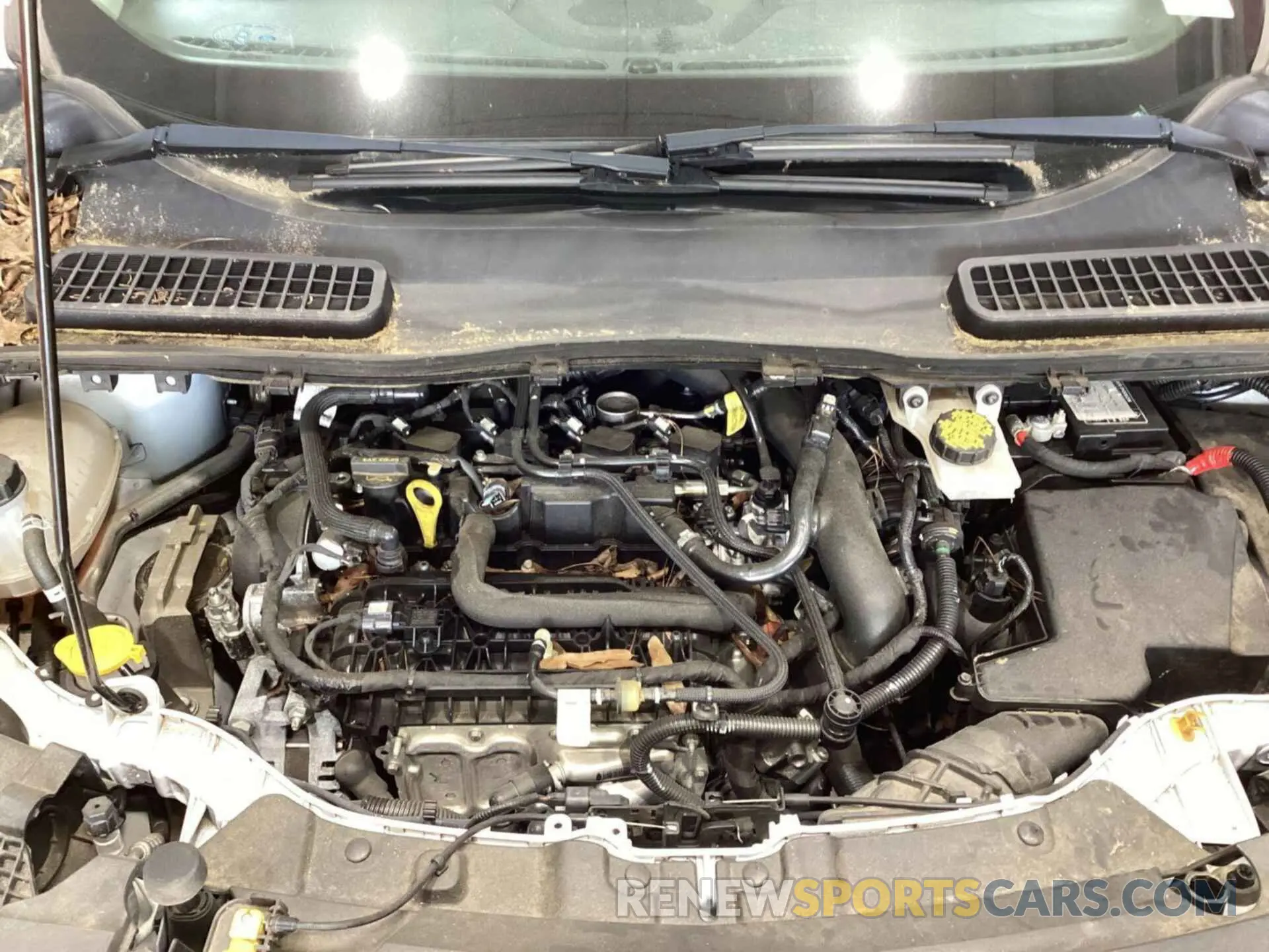 32 Фотография поврежденного автомобиля 1FMCU0GD2KUC36960 FORD ESCAPE 2019