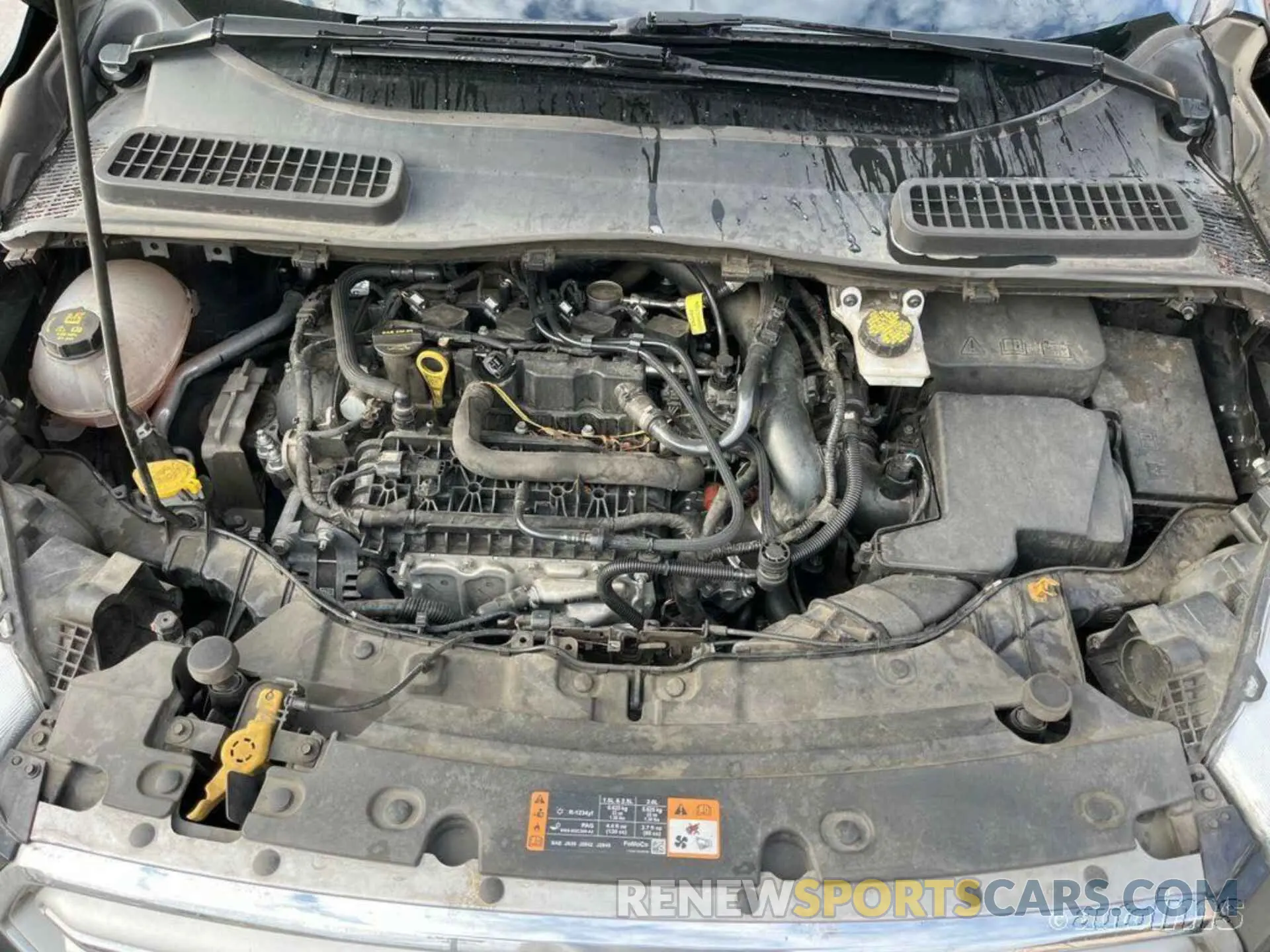 14 Photograph of a damaged car 1FMCU0GD3KUB11918 FORD ESCAPE 2019