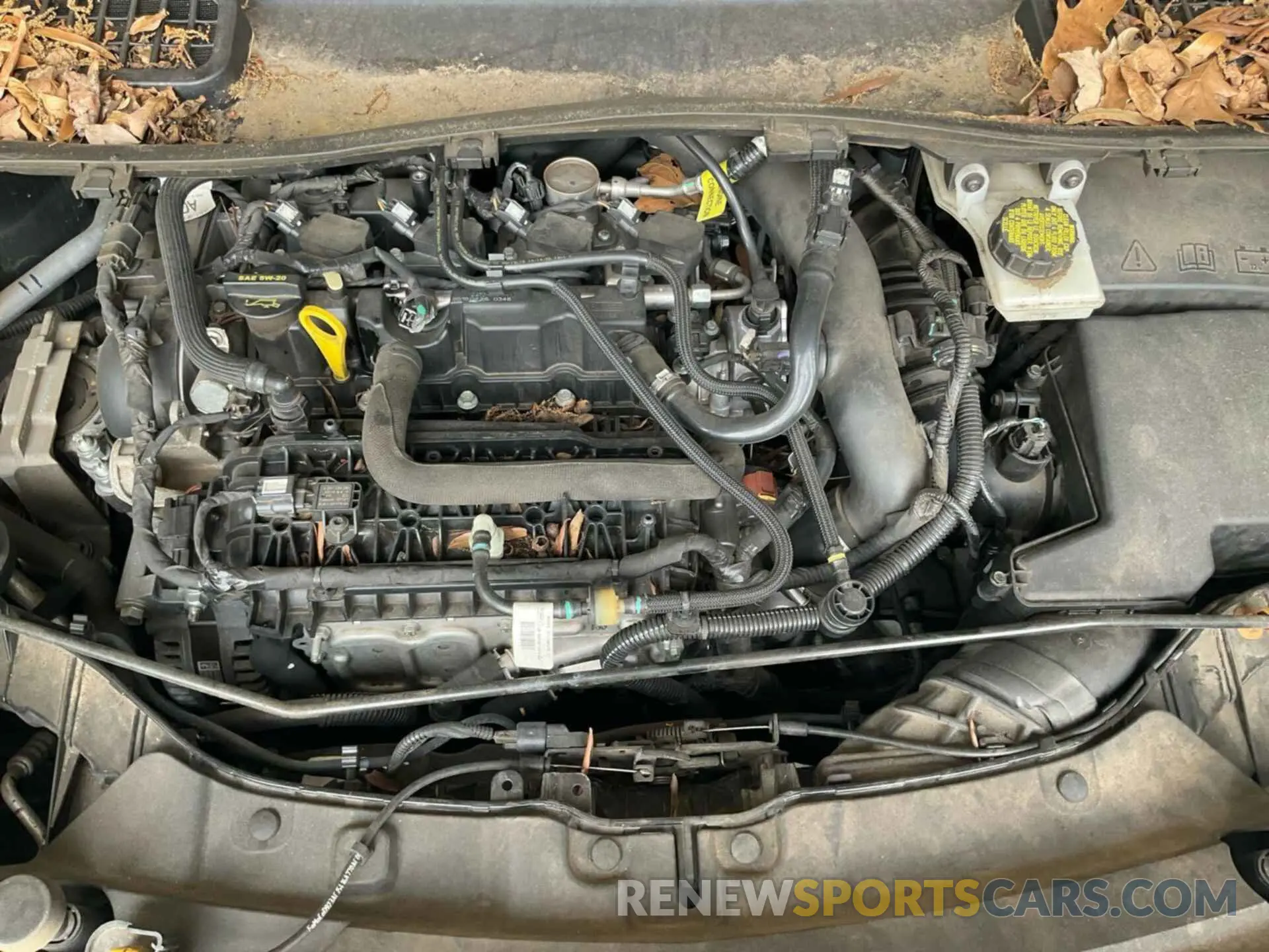19 Фотография поврежденного автомобиля 1FMCU0GD3KUB82343 FORD ESCAPE 2019