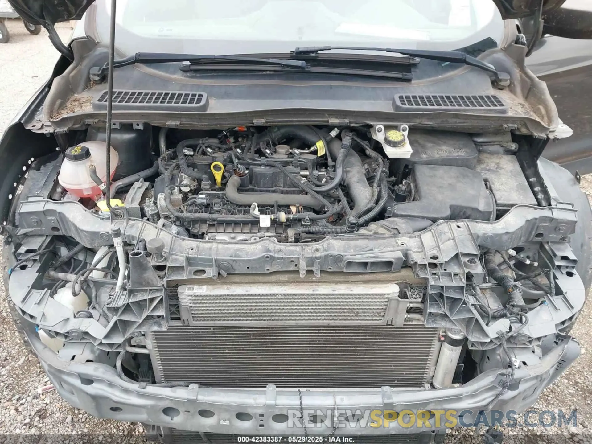 10 Photograph of a damaged car 1FMCU0GD4KUA92490 FORD ESCAPE 2019