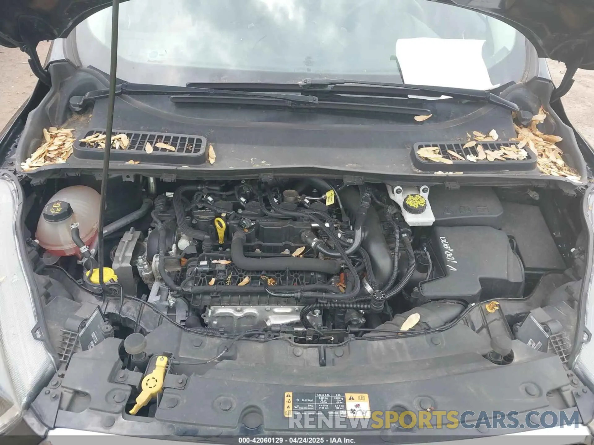 10 Фотография поврежденного автомобиля 1FMCU9GD1KUA64828 FORD ESCAPE 2019