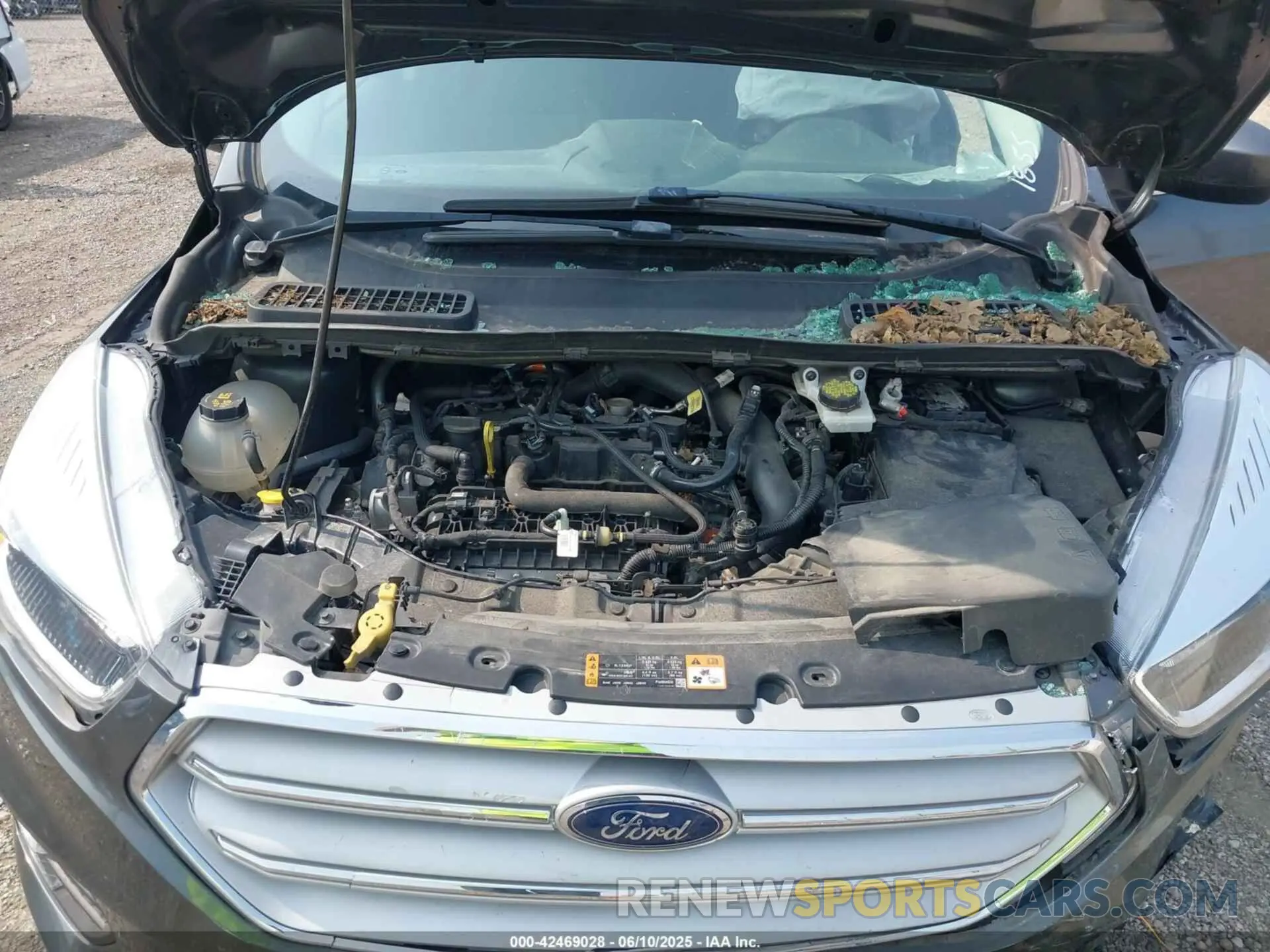 10 Photograph of a damaged car 1FMCU9GD1KUC21855 FORD ESCAPE 2019