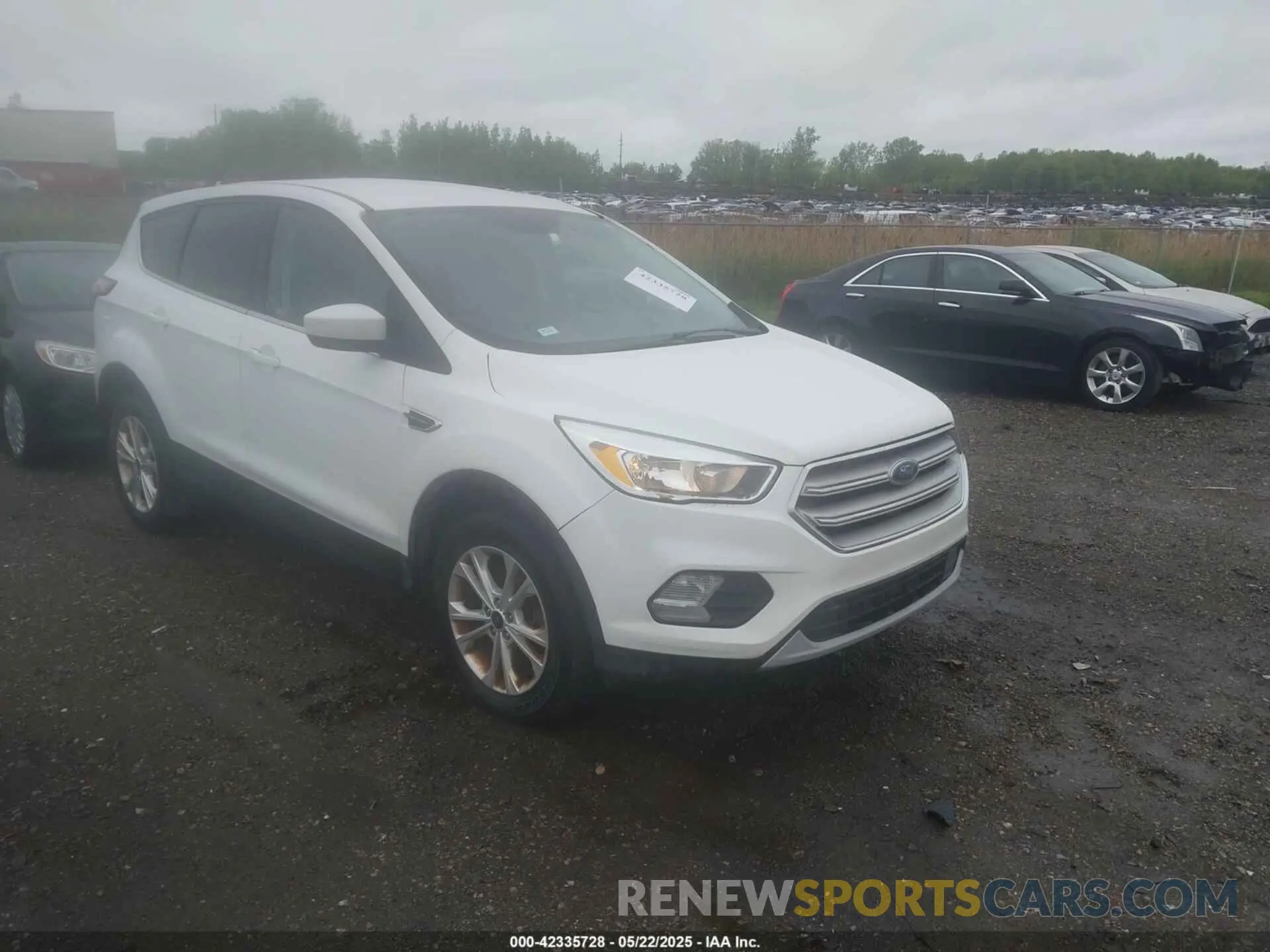 1 Фотография поврежденного автомобиля 1FMCU9GD2KUC25008 FORD ESCAPE 2019
