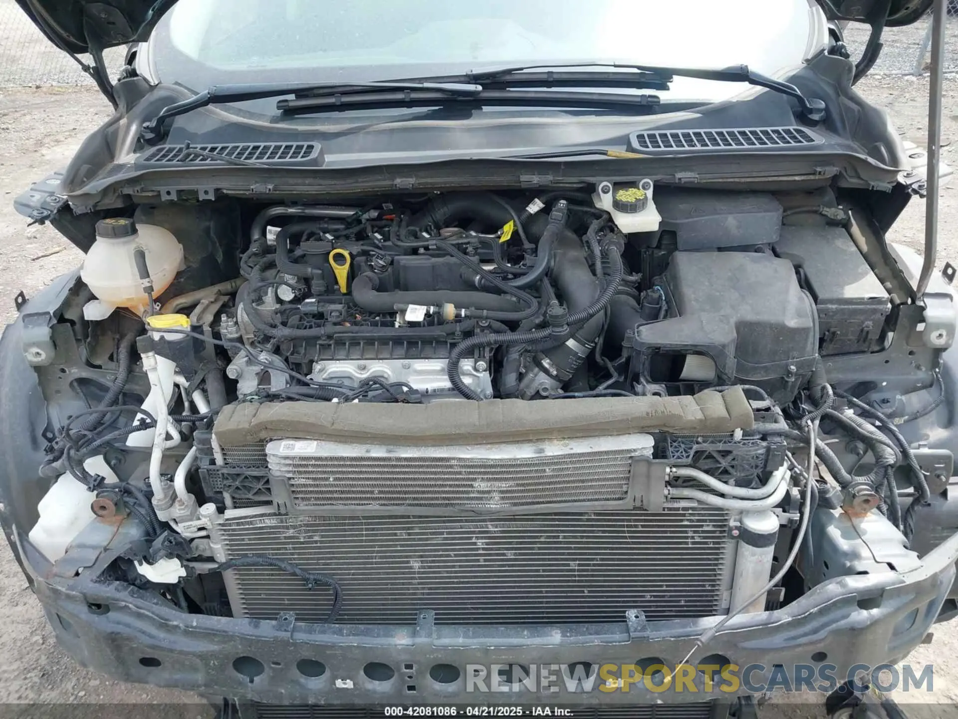 10 Фотография поврежденного автомобиля 1FMCU9GD4KUB44754 FORD ESCAPE 2019