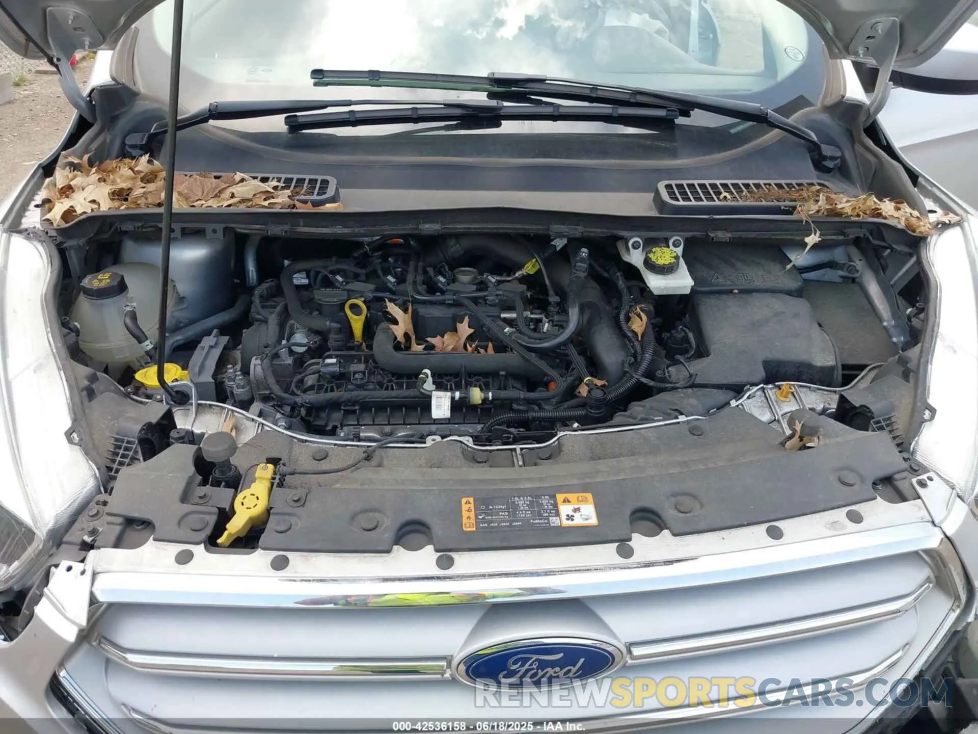 10 Photograph of a damaged car 1FMCU9GD8KUB52436 FORD ESCAPE 2019
