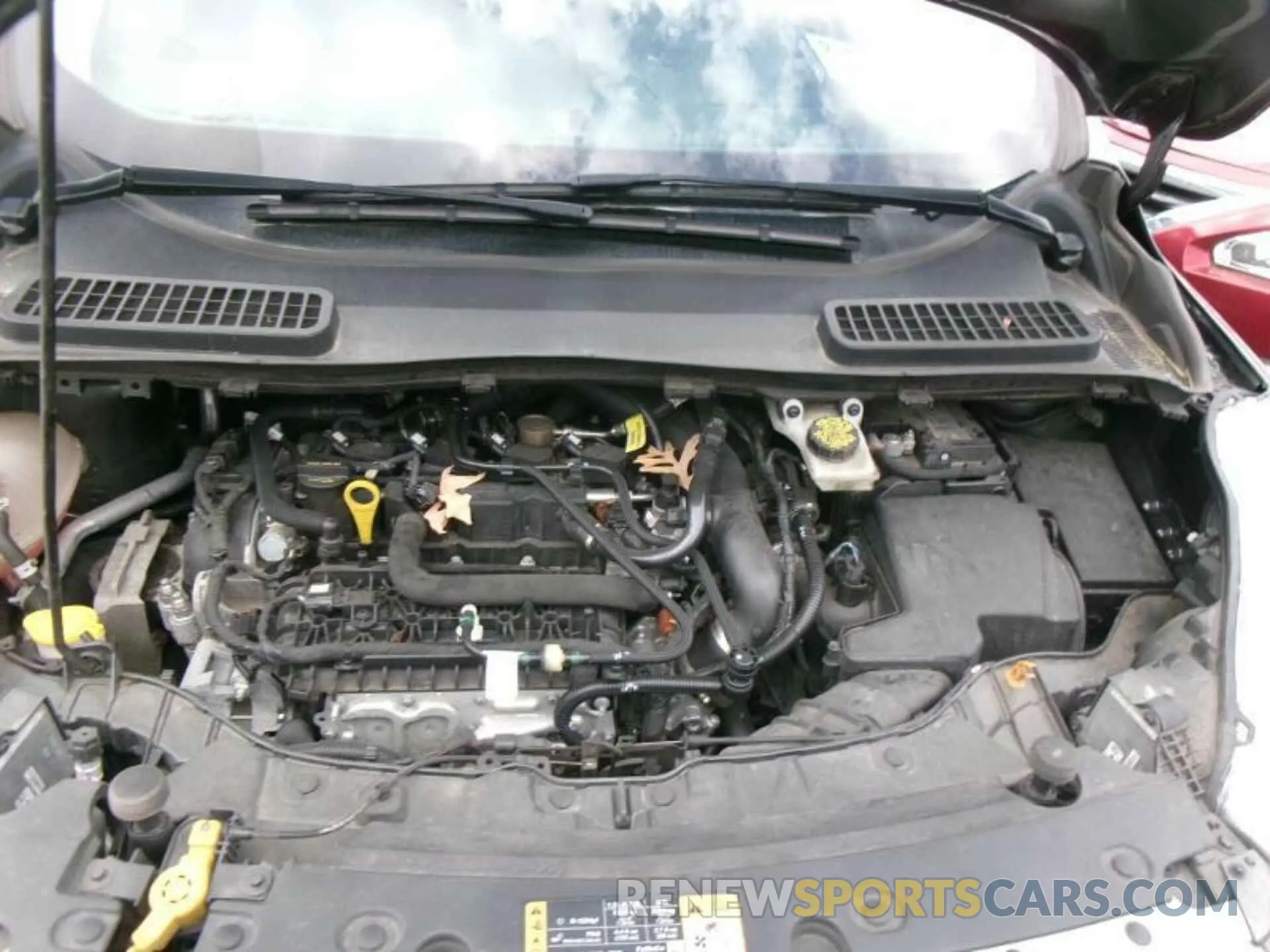 12 Photograph of a damaged car 1FMCU9HD0KUB11765 FORD ESCAPE 2019