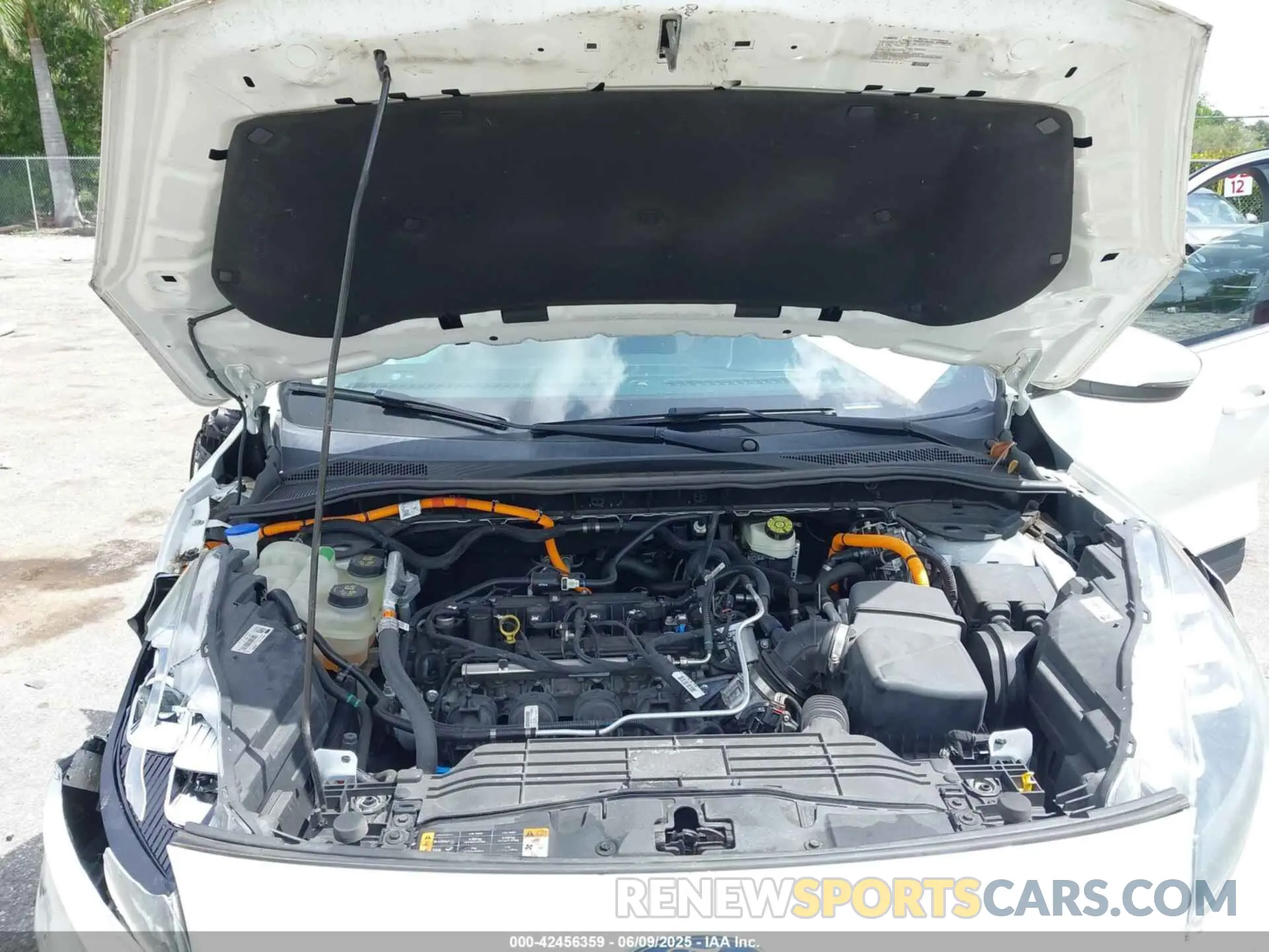 10 Photograph of a damaged car 1FMCU0DZ3LUC07842 FORD ESCAPE 2020