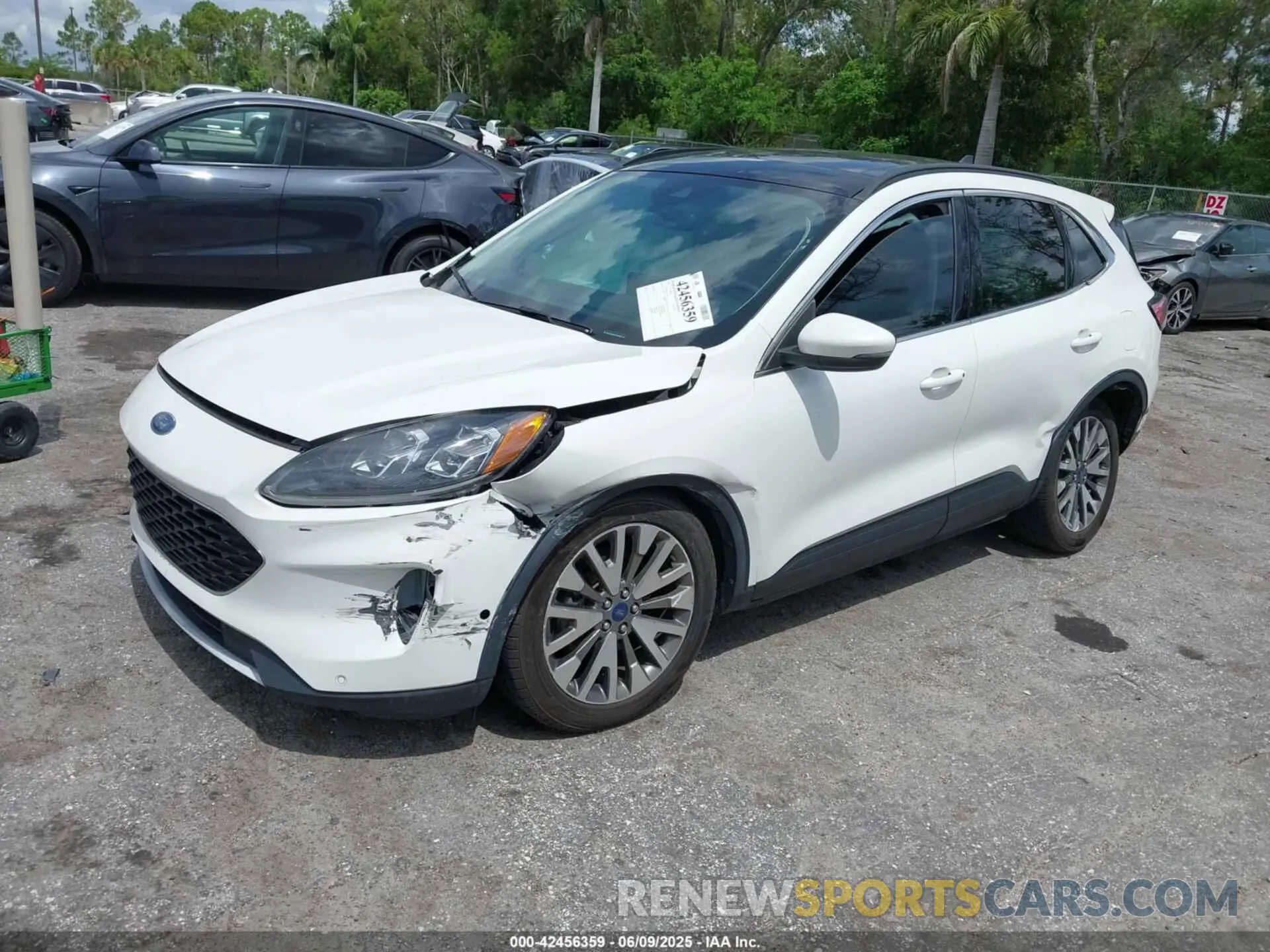 2 Photograph of a damaged car 1FMCU0DZ3LUC07842 FORD ESCAPE 2020