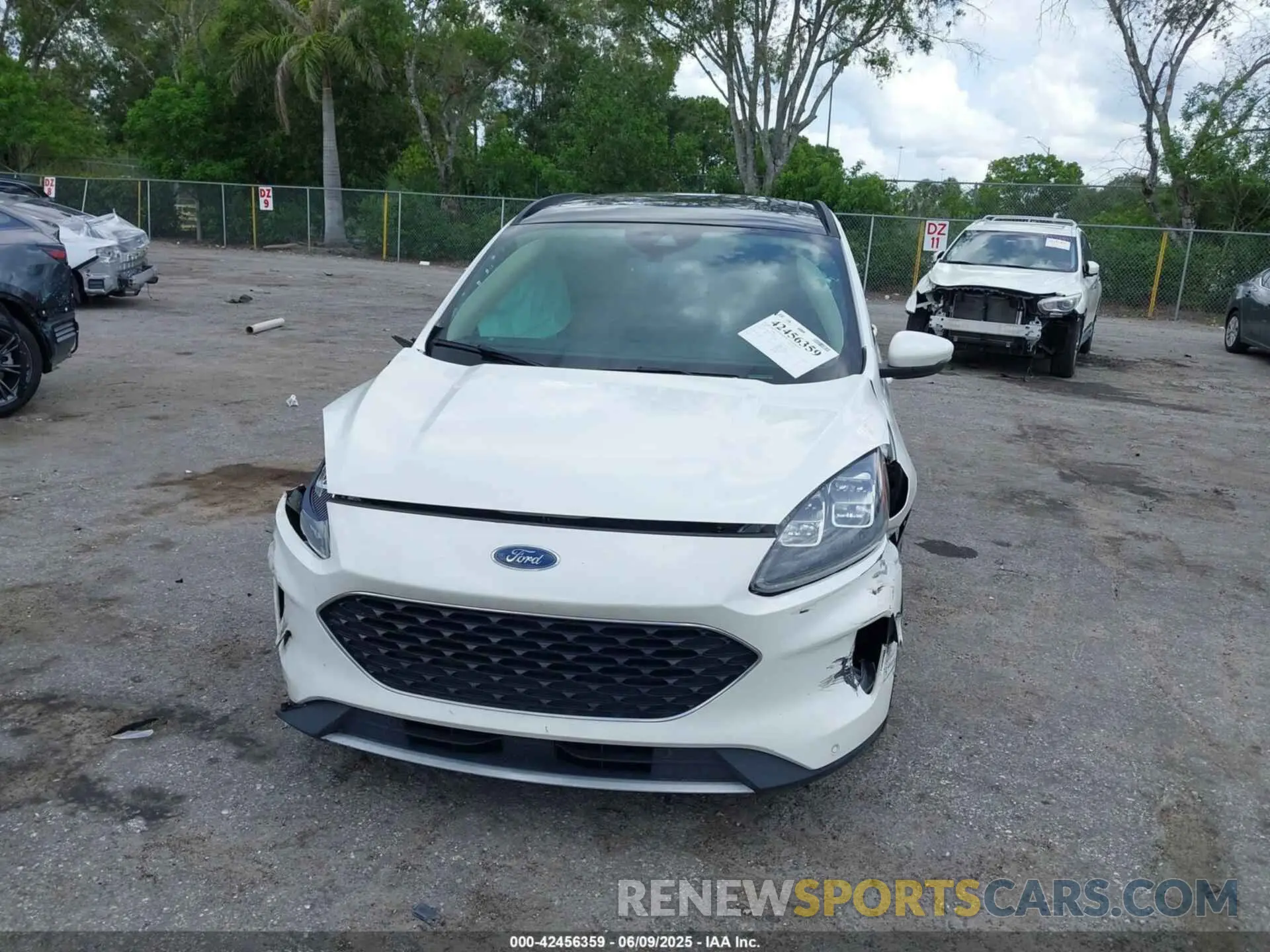 6 Photograph of a damaged car 1FMCU0DZ3LUC07842 FORD ESCAPE 2020