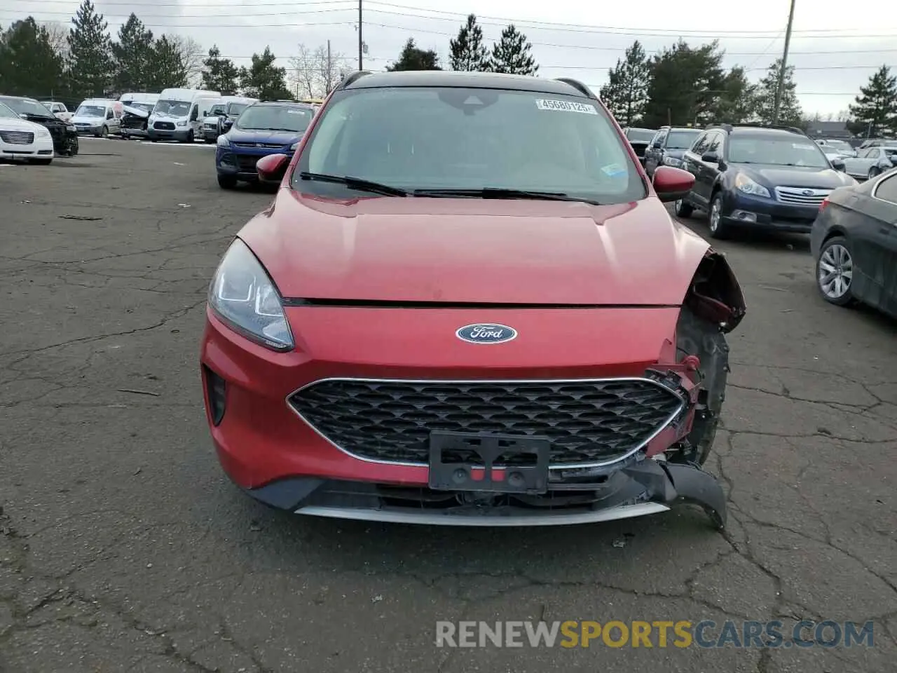 5 Photograph of a damaged car 1FMCU0G65LUB24205 FORD ESCAPE 2020