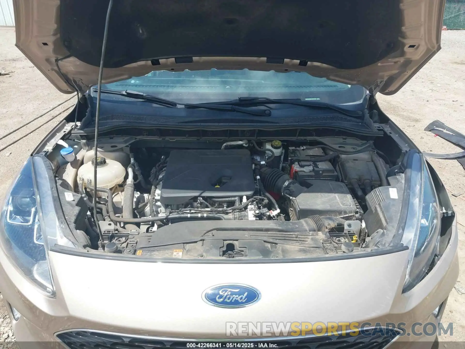 10 Photograph of a damaged car 1FMCU0H69LUB23895 FORD ESCAPE 2020