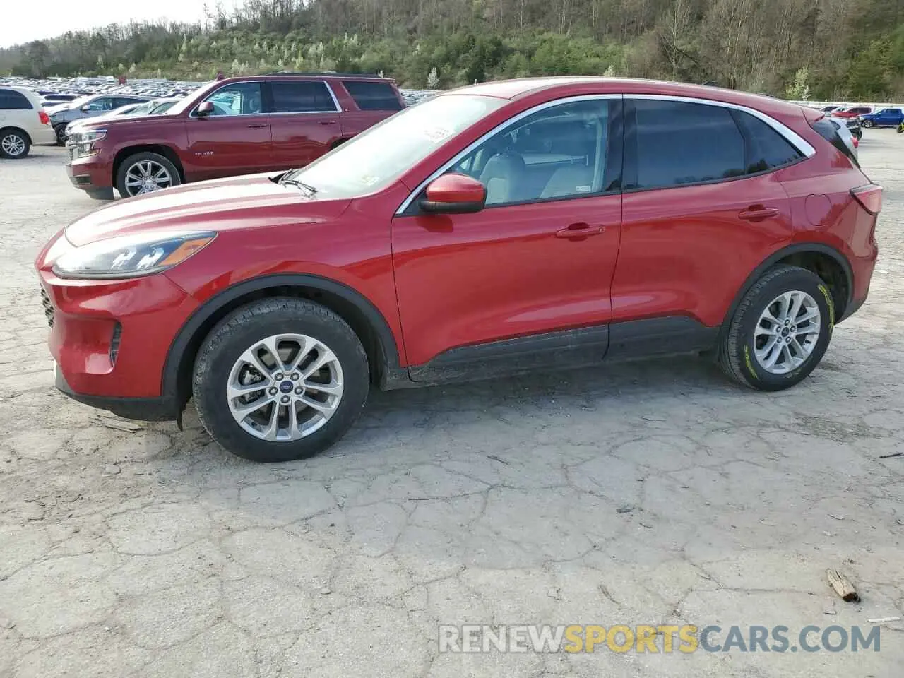 1 Фотография поврежденного автомобиля 1FMCU9G64LUA28070 FORD ESCAPE 2020