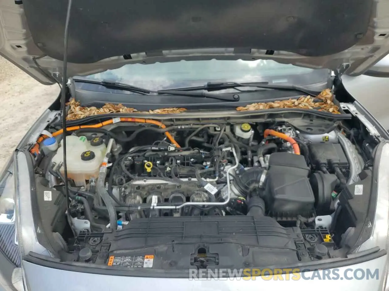 12 Photograph of a damaged car 1FMCU0BZ9MUA58048 FORD ESCAPE 2021