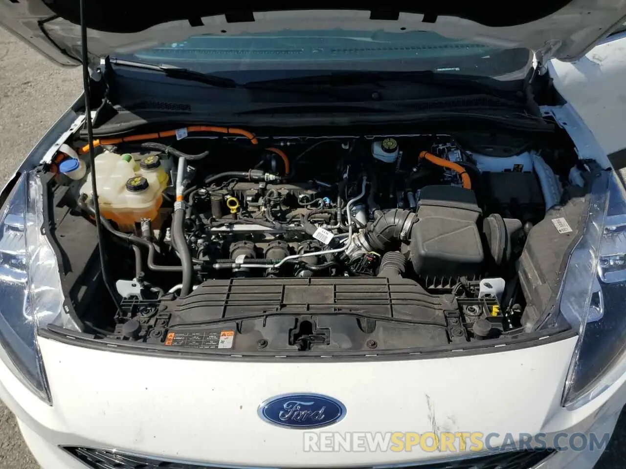 13 Photograph of a damaged car 1FMCU0DZ9MUA21577 FORD ESCAPE 2021