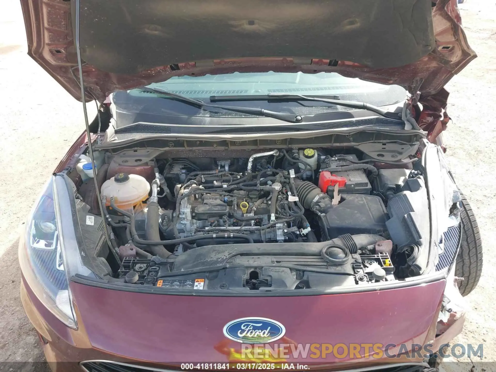 10 Photograph of a damaged car 1FMCU0G60MUA24997 FORD ESCAPE 2021