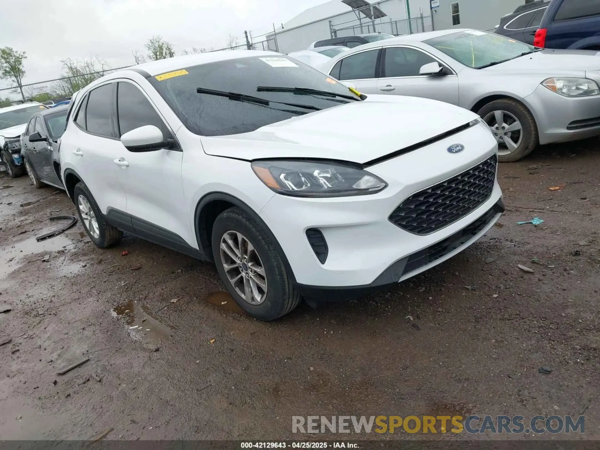 1 Фотография поврежденного автомобиля 1FMCU0G65MUA15700 FORD ESCAPE 2021