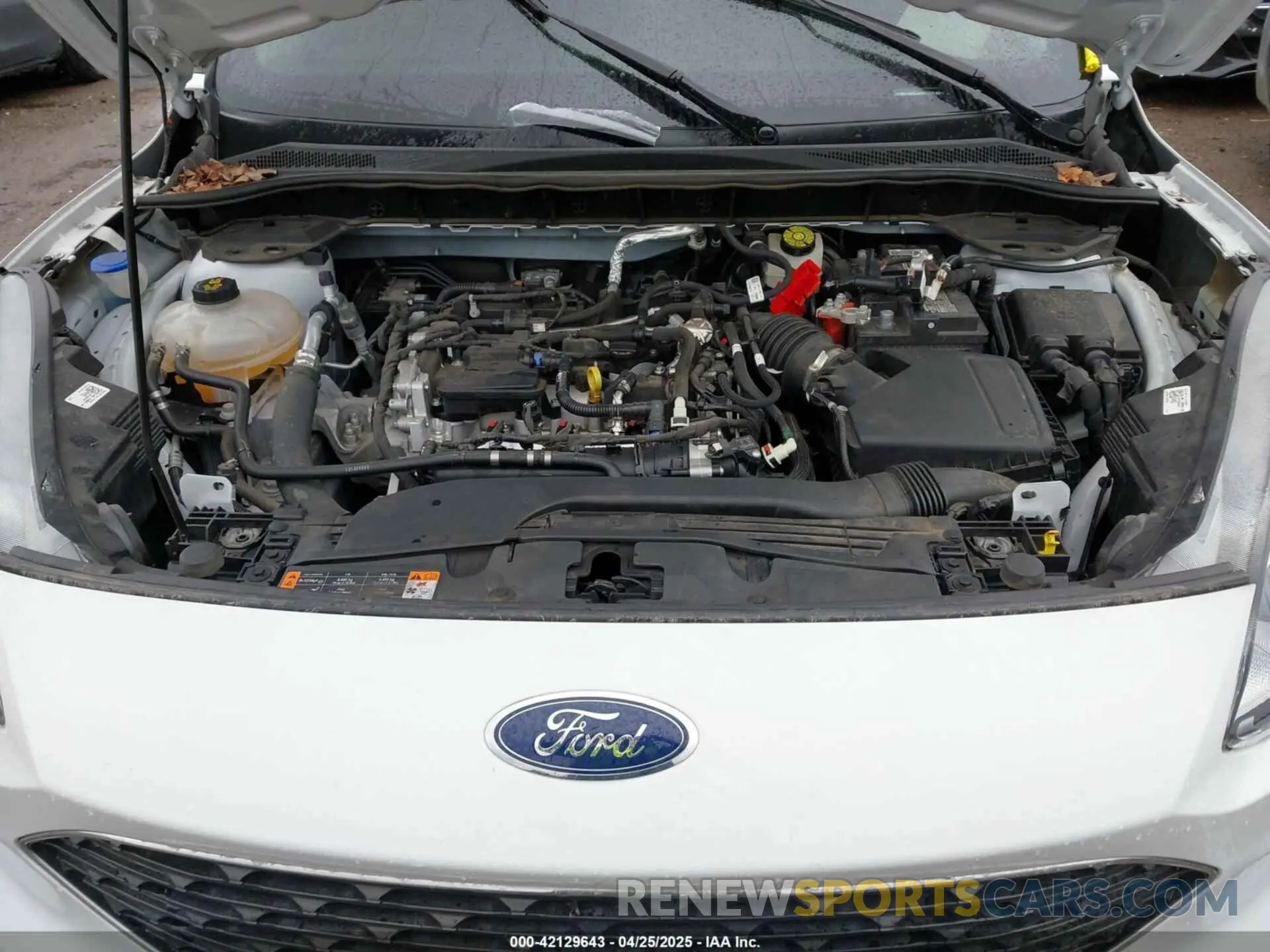 10 Фотография поврежденного автомобиля 1FMCU0G65MUA15700 FORD ESCAPE 2021