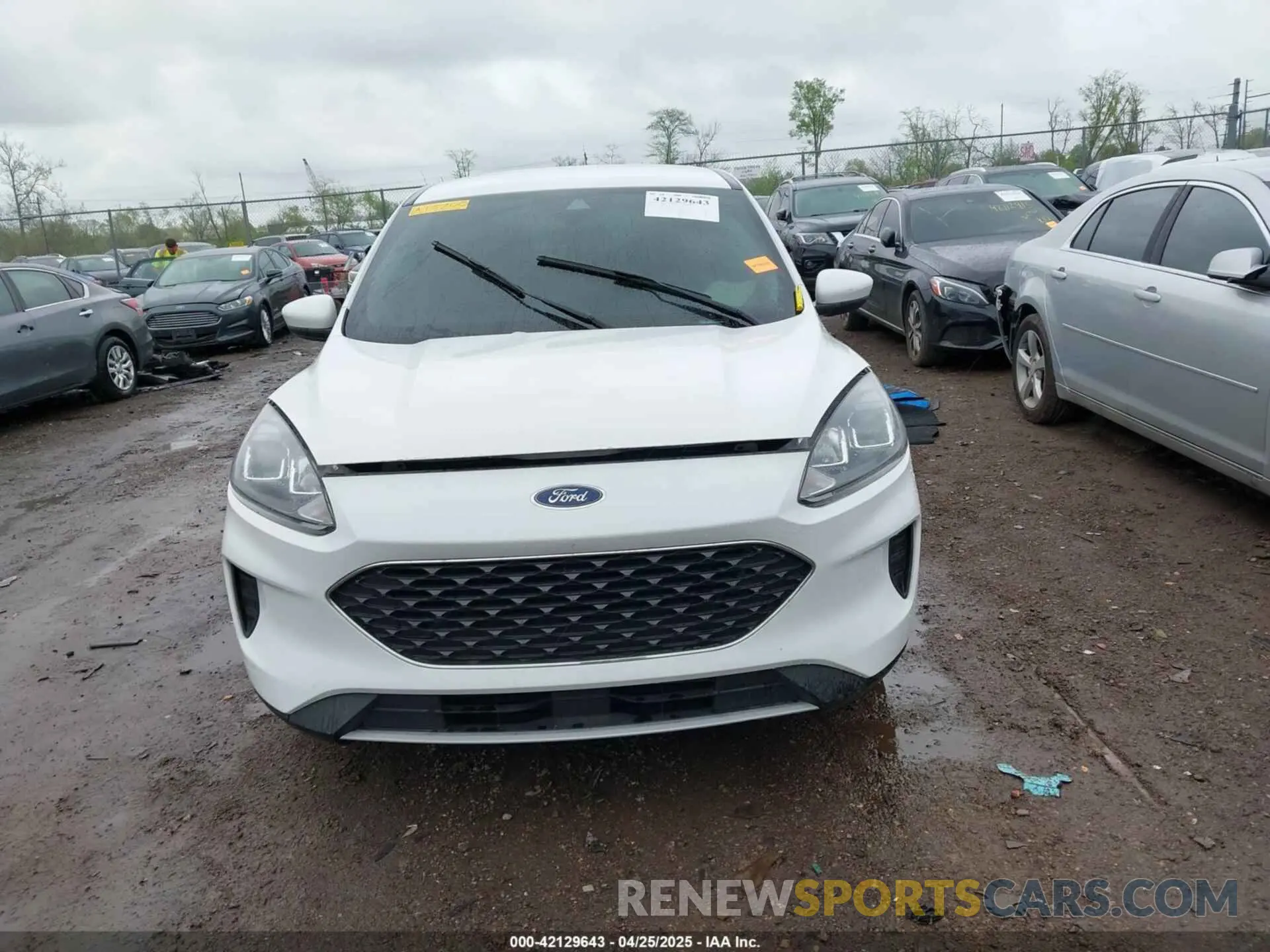12 Фотография поврежденного автомобиля 1FMCU0G65MUA15700 FORD ESCAPE 2021