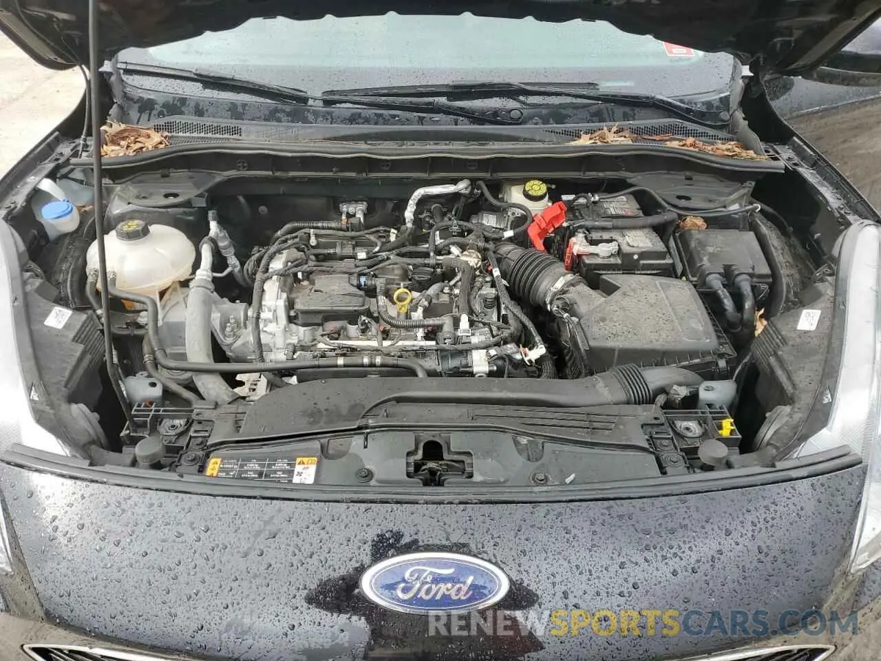 14 Фотография поврежденного автомобиля 1FMCU0H60MUA09527 FORD ESCAPE 2021