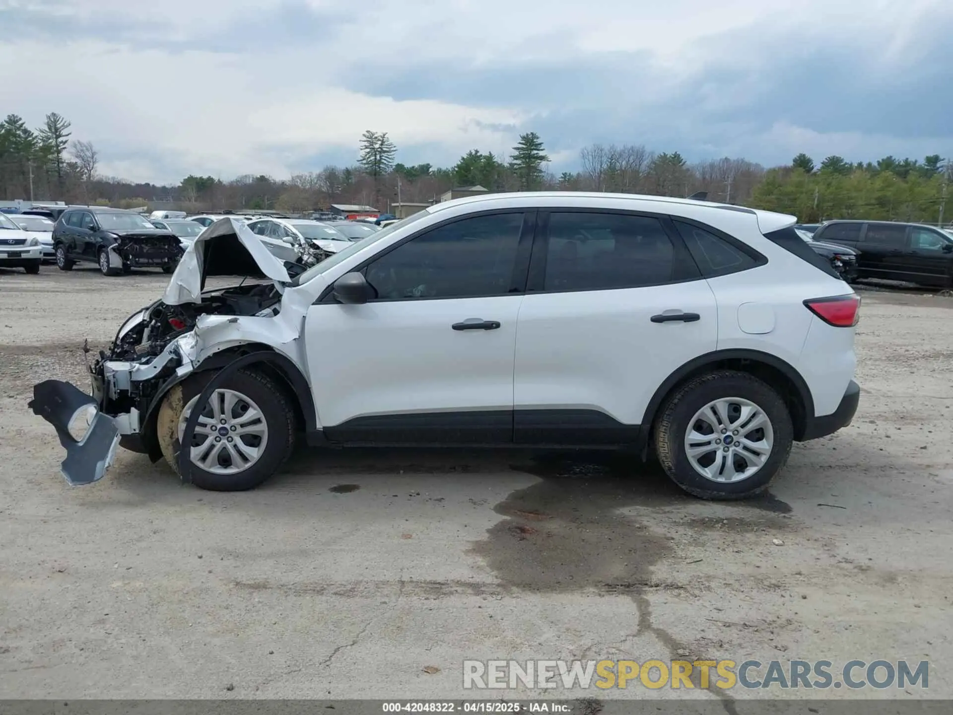 14 Photograph of a damaged car 1FMCU9F69MUA16645 FORD ESCAPE 2021