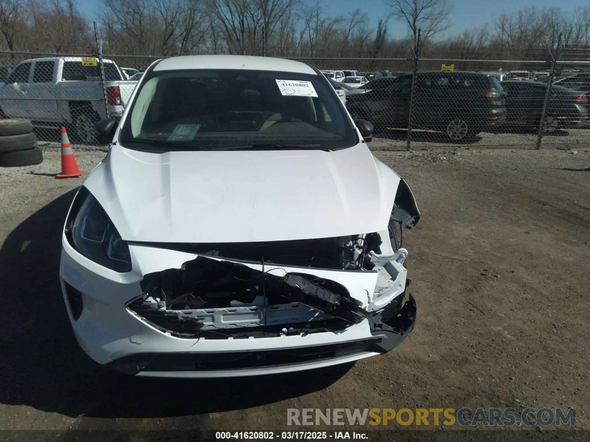 12 Photograph of a damaged car 1FMCU0BZ0NUB45984 FORD ESCAPE 2022