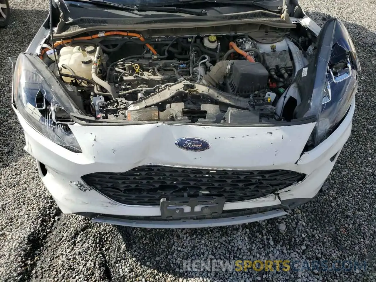 12 Photograph of a damaged car 1FMCU0BZ4NUA80783 FORD ESCAPE 2022