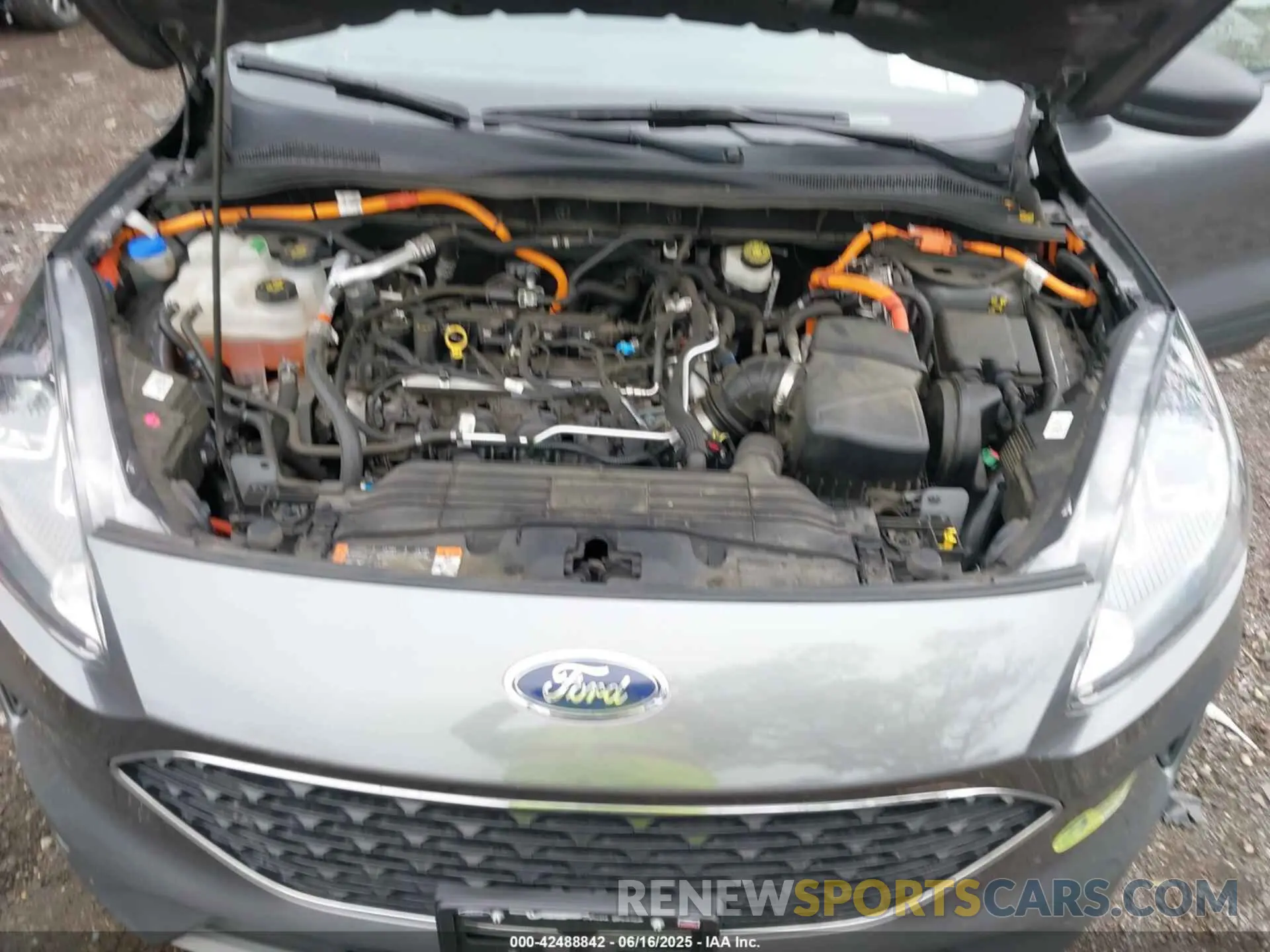 10 Фотография поврежденного автомобиля 1FMCU0EZ7NUA24543 FORD ESCAPE 2022