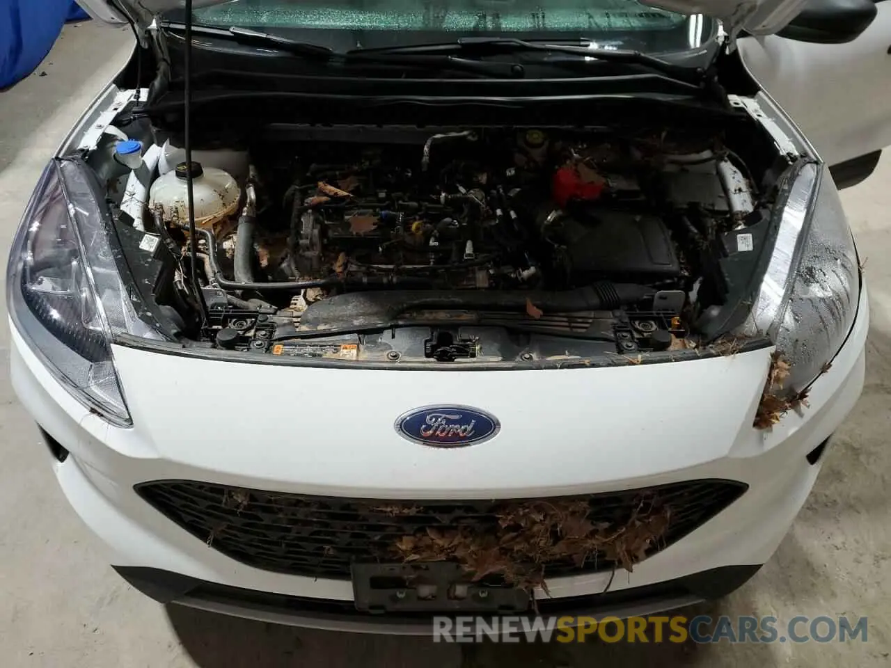 12 Photograph of a damaged car 1FMCU0F69NUA84814 FORD ESCAPE 2022