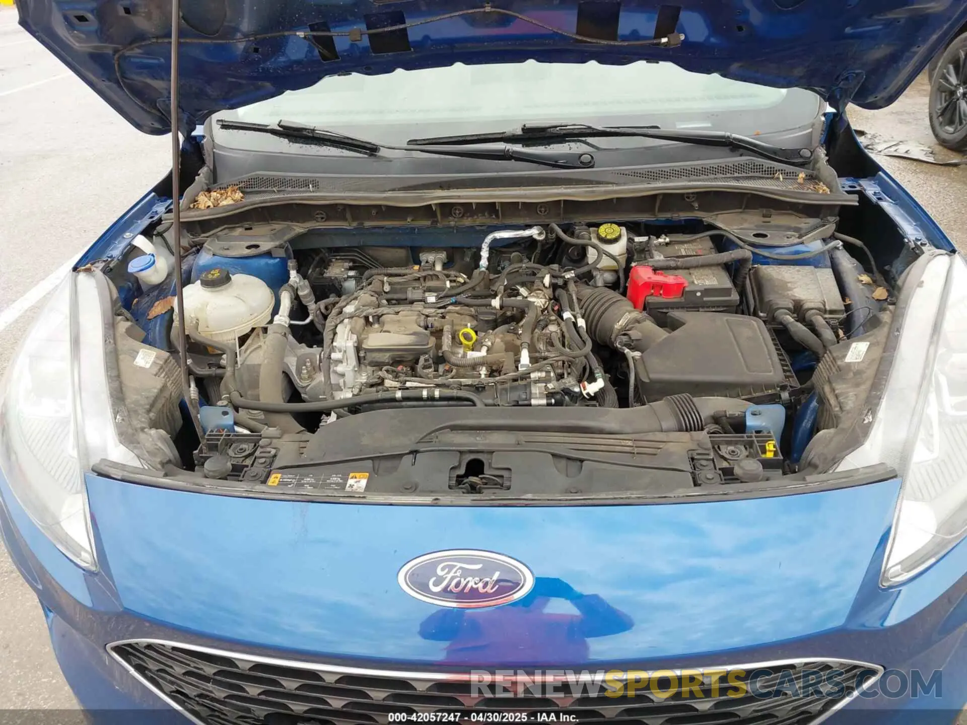10 Фотография поврежденного автомобиля 1FMCU0G6XNUB39141 FORD ESCAPE 2022