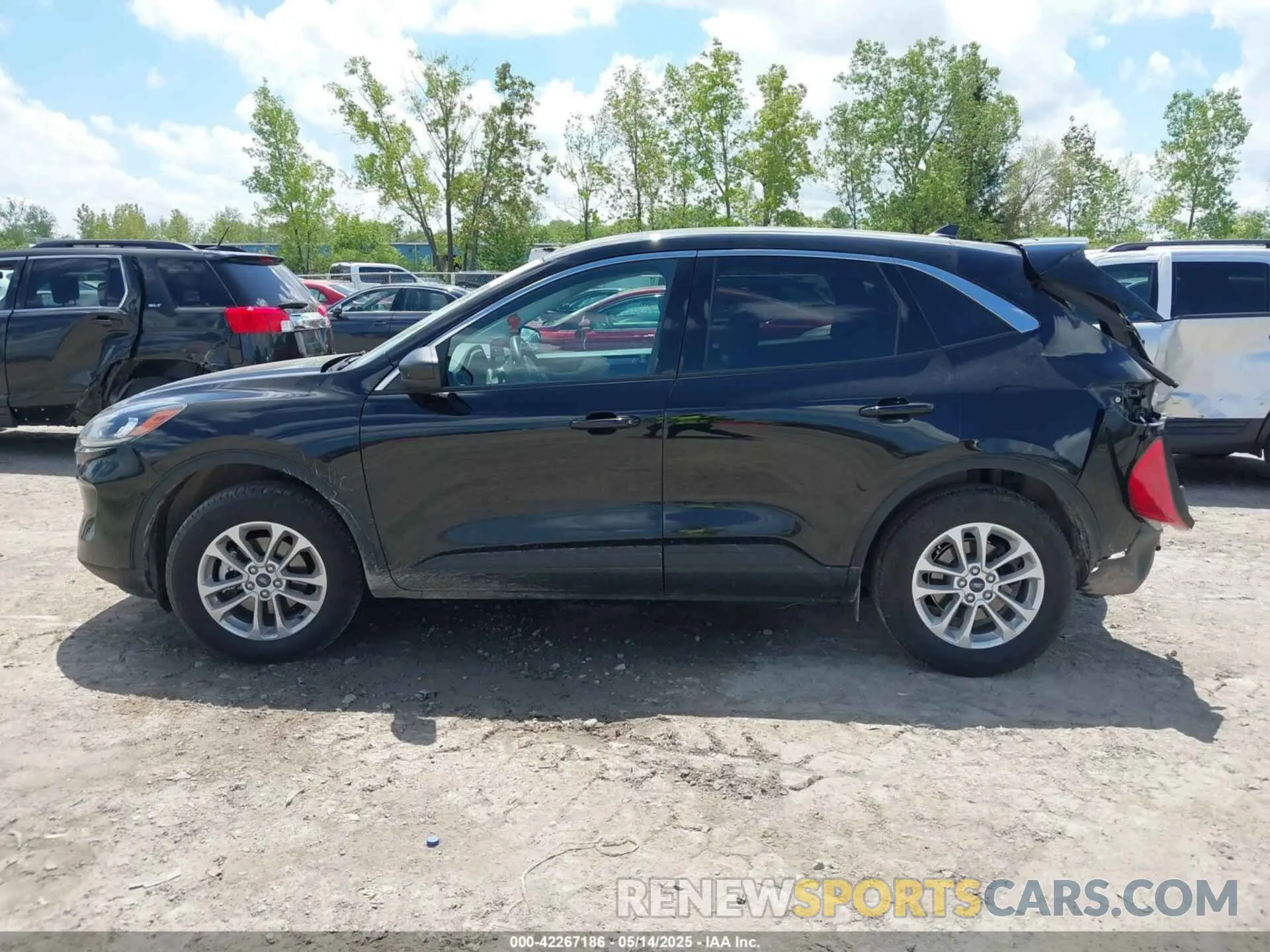 14 Photograph of a damaged car 1FMCU9G62NUA32931 FORD ESCAPE 2022