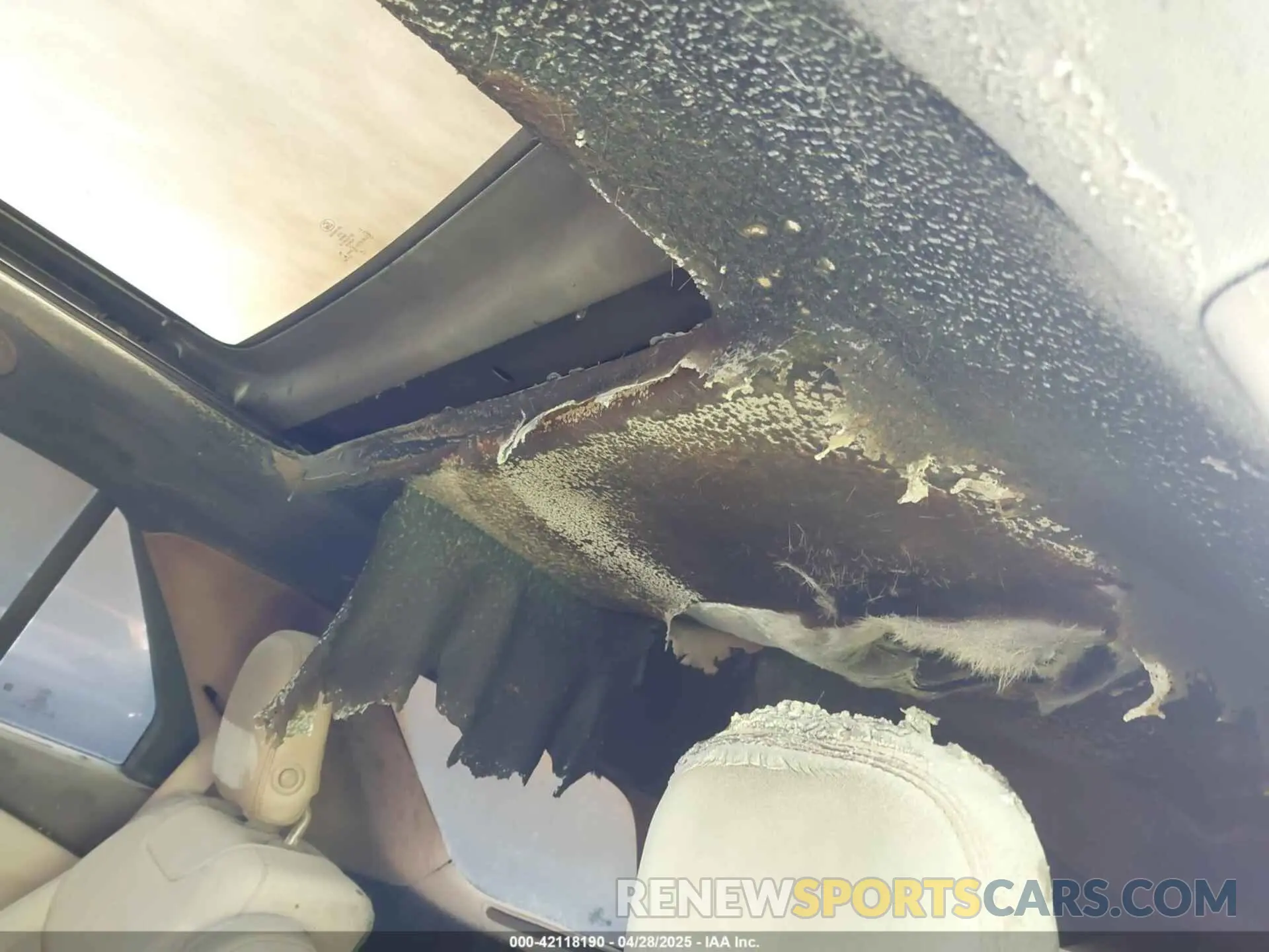 6 Photograph of a damaged car 1FM5K8HC9LGA70181 FORD EXPLORER 2020