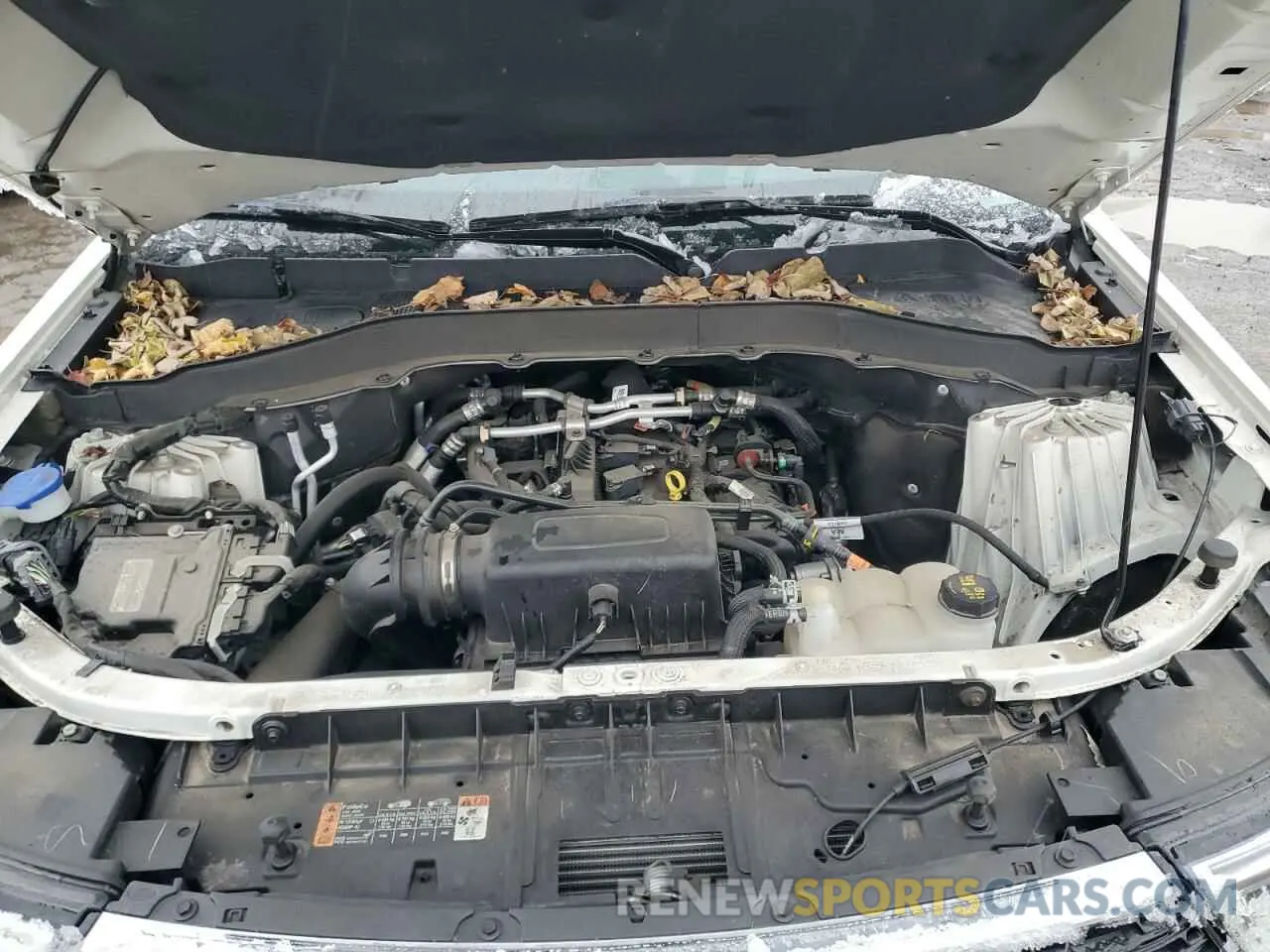 12 Photograph of a damaged car 1FMSK8DH5NGA93917 FORD EXPLORER 2022