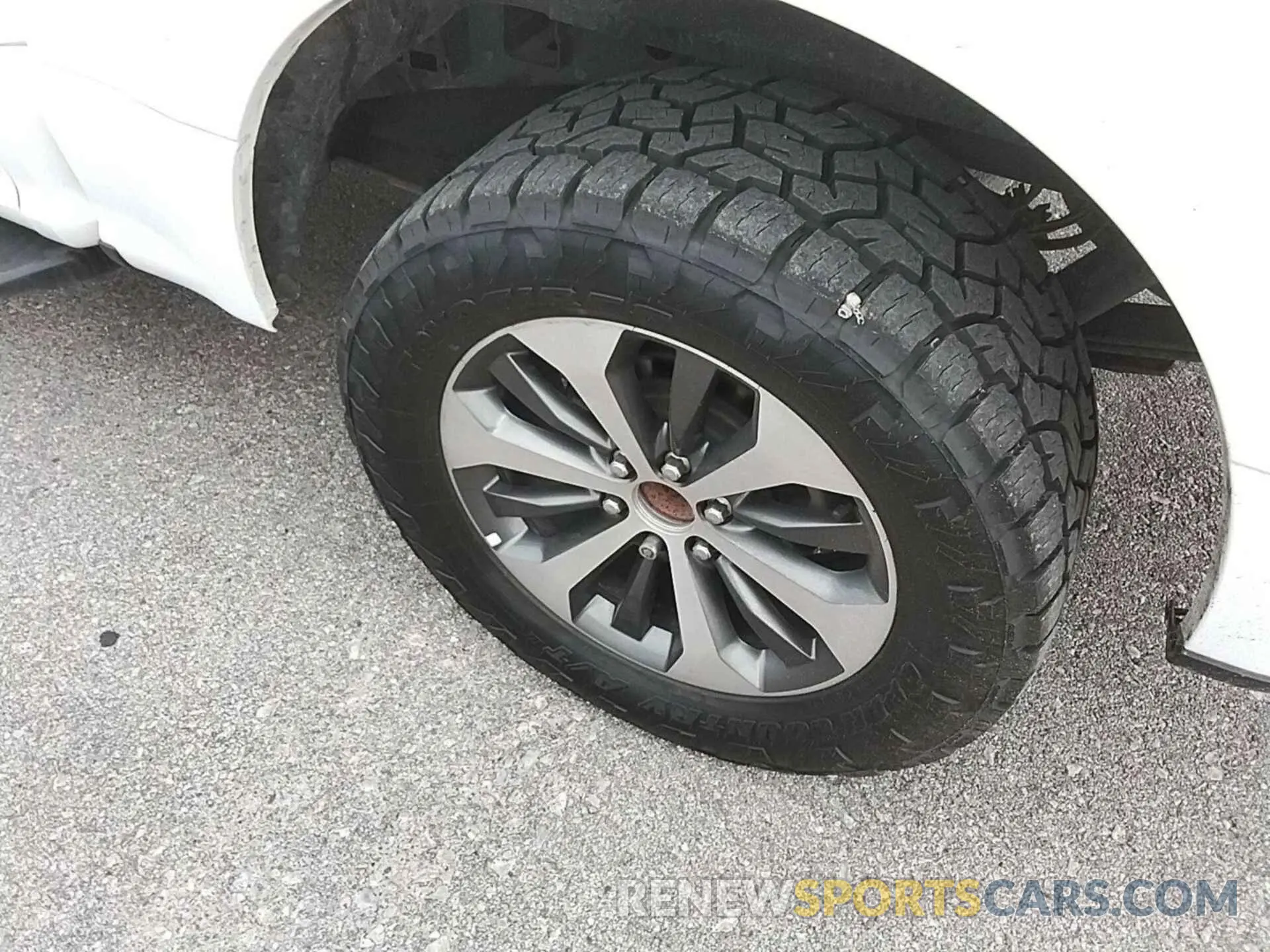 17 Фотография поврежденного автомобиля 1FTEW1C52KFA06822 FORD F-150 2019