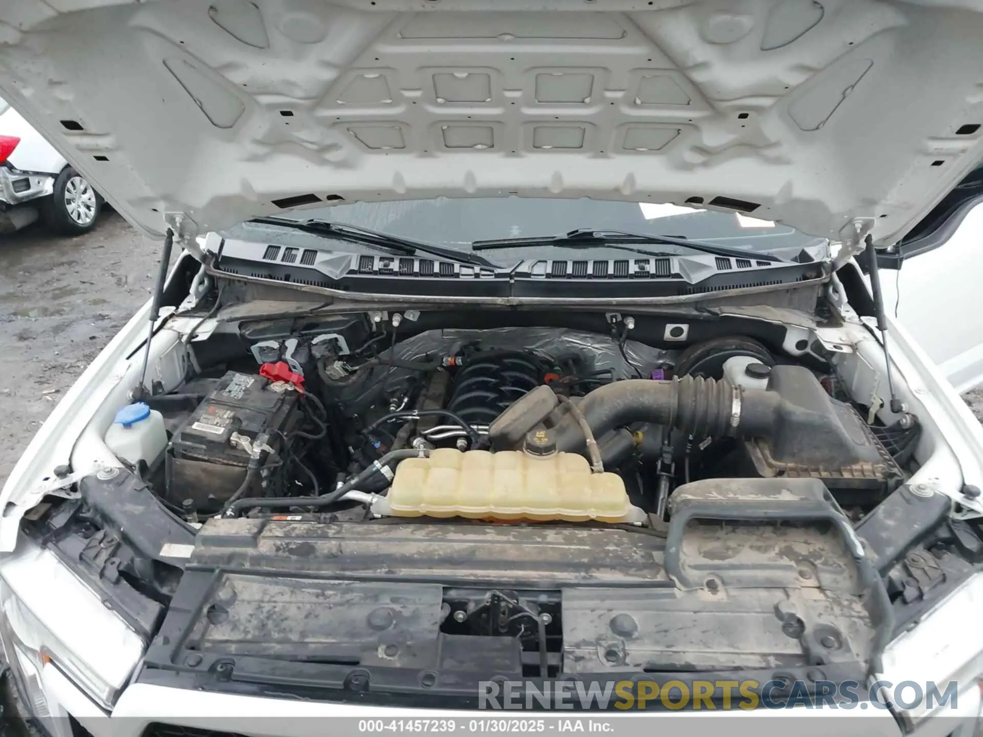 10 Фотография поврежденного автомобиля 1FTEW1C52KKD70455 FORD F-150 2019