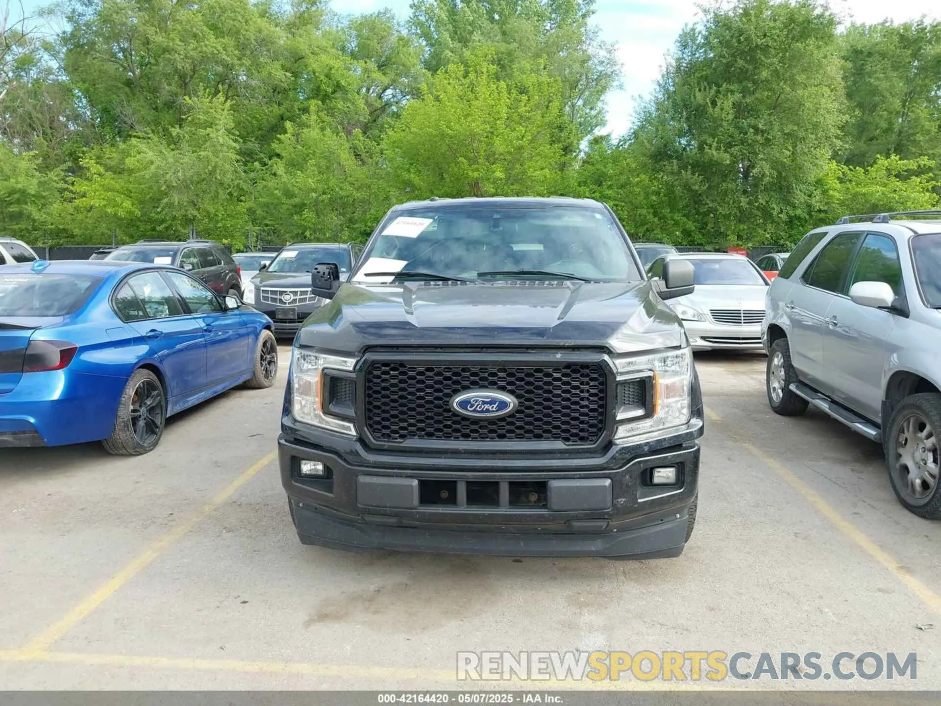 12 Photograph of a damaged car 1FTEW1C57KKC20597 FORD F-150 2019