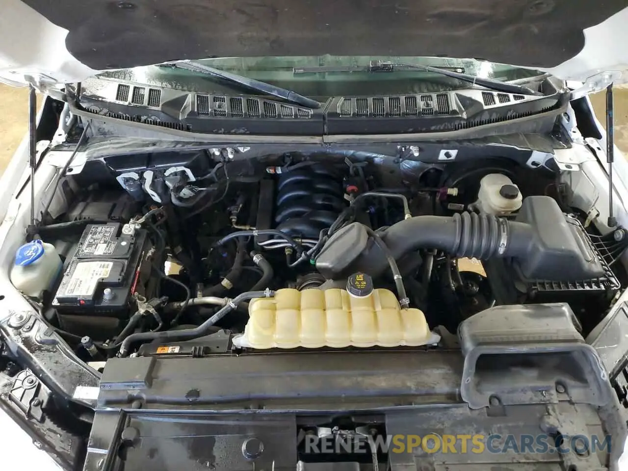 11 Photograph of a damaged car 1FTEW1C59KKC99514 FORD F-150 2019