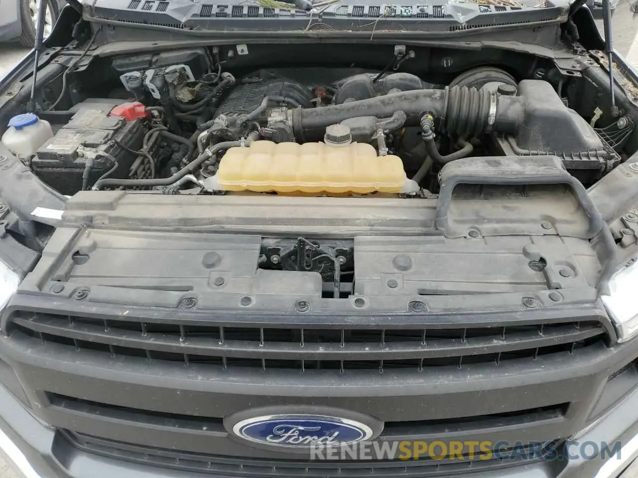 11 Фотография поврежденного автомобиля 1FTEW1CB4KKE45601 FORD F-150 2019
