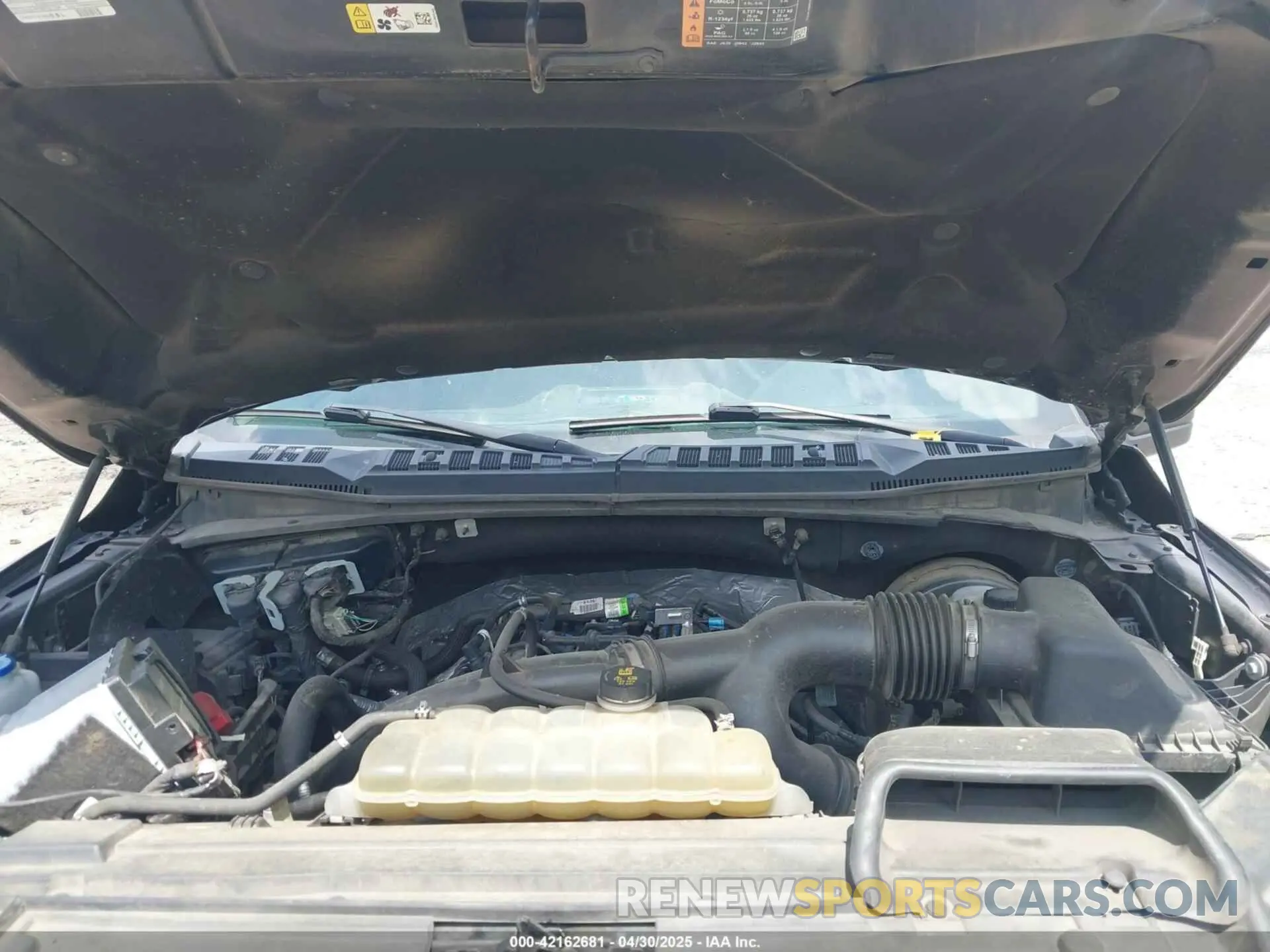 10 Photograph of a damaged car 1FTEW1CP0KFD48612 FORD F-150 2019