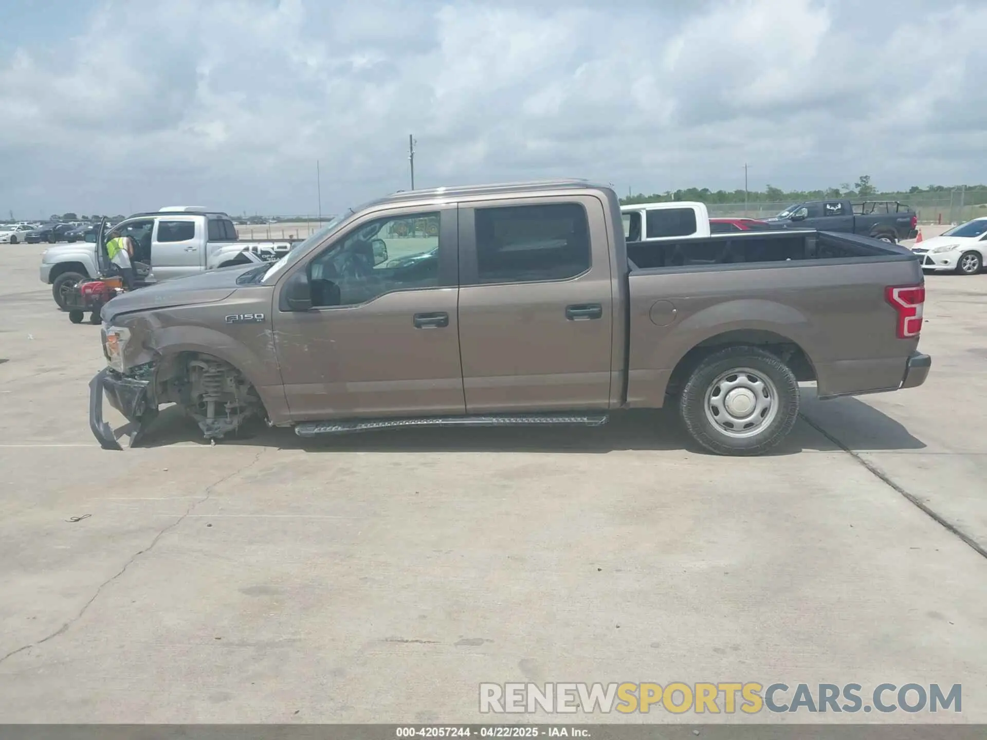 14 Фотография поврежденного автомобиля 1FTEW1CP2KKE83484 FORD F-150 2019