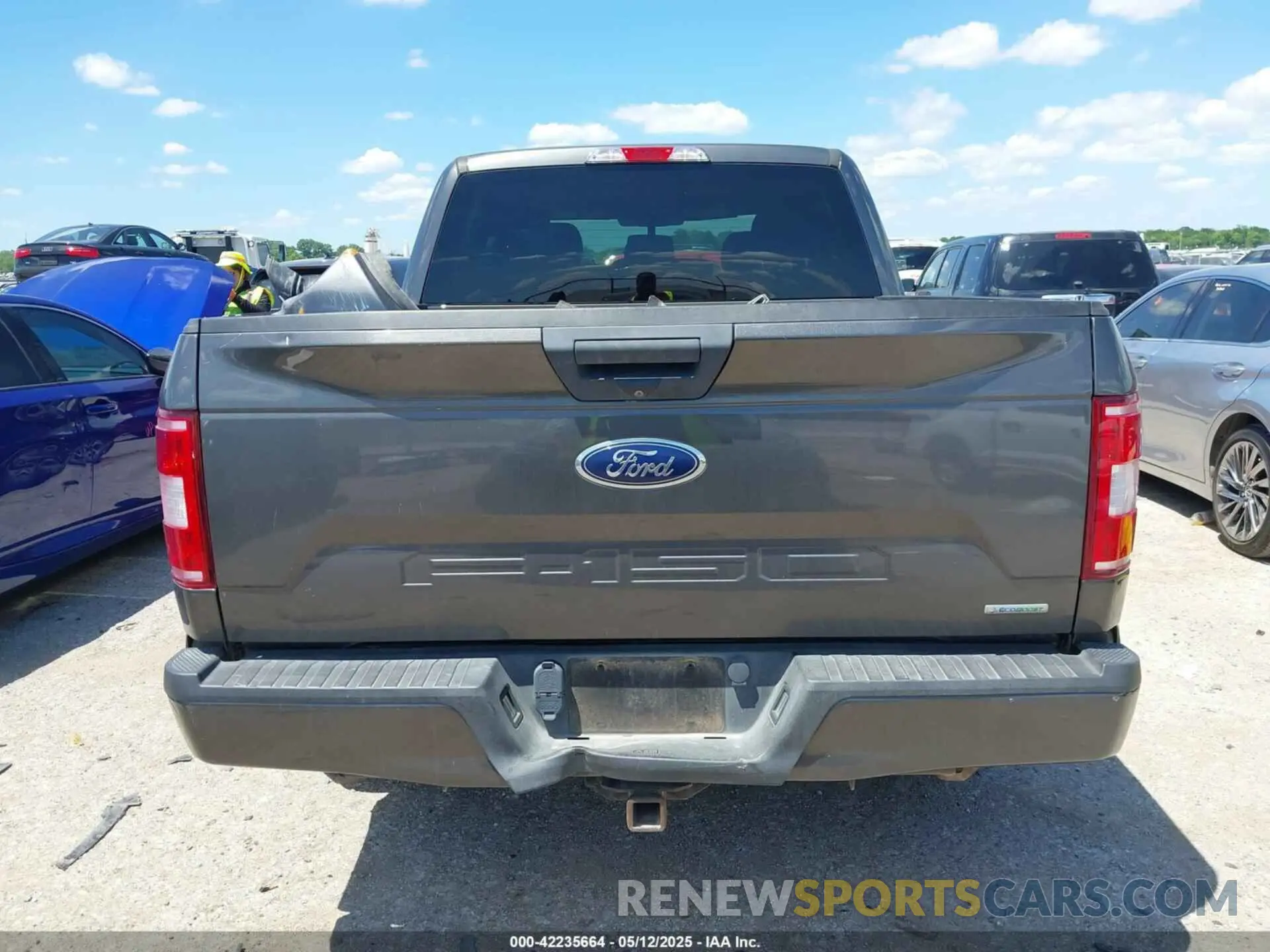 16 Фотография поврежденного автомобиля 1FTEW1CP7KKE04696 FORD F-150 2019